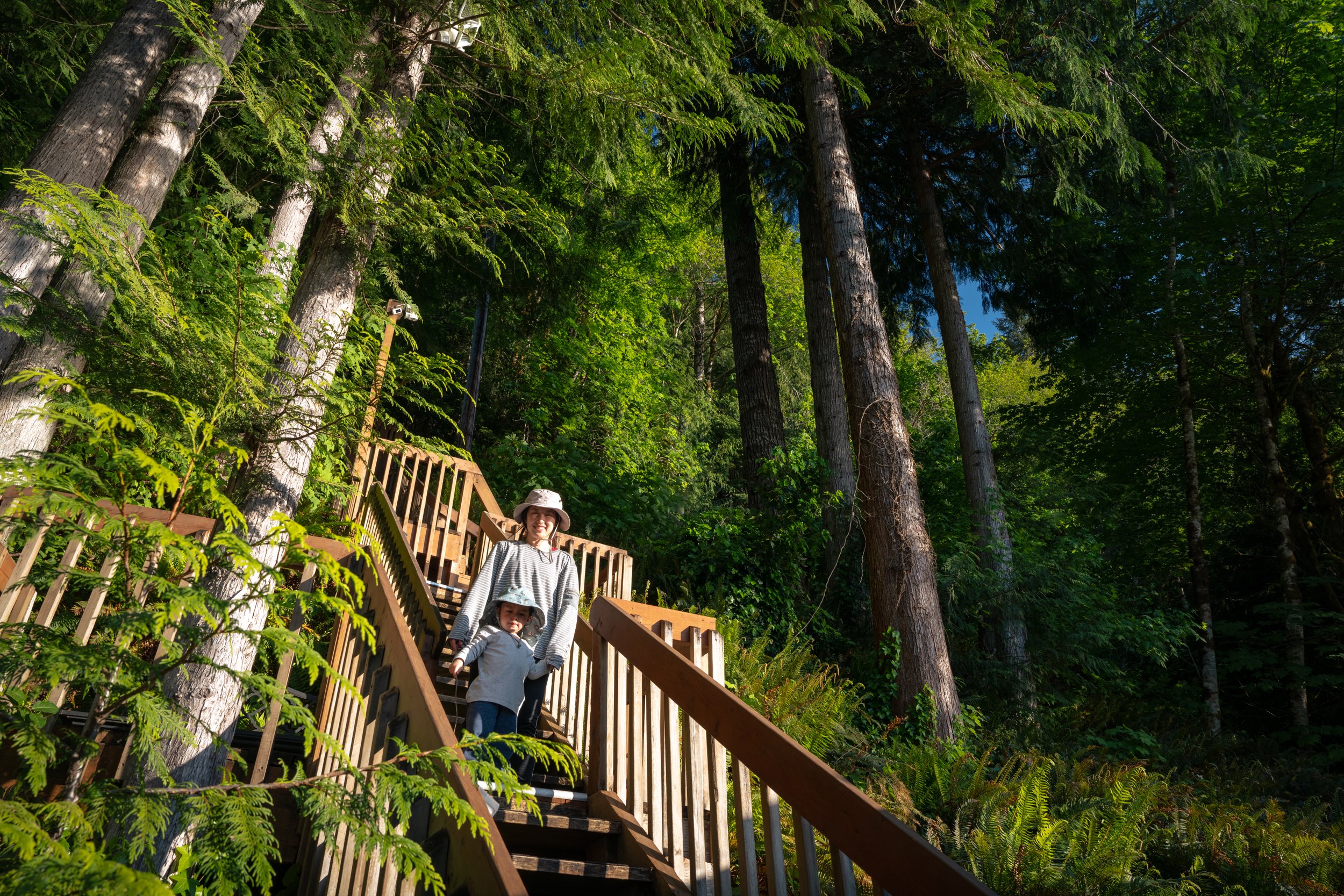 Olympic National Park