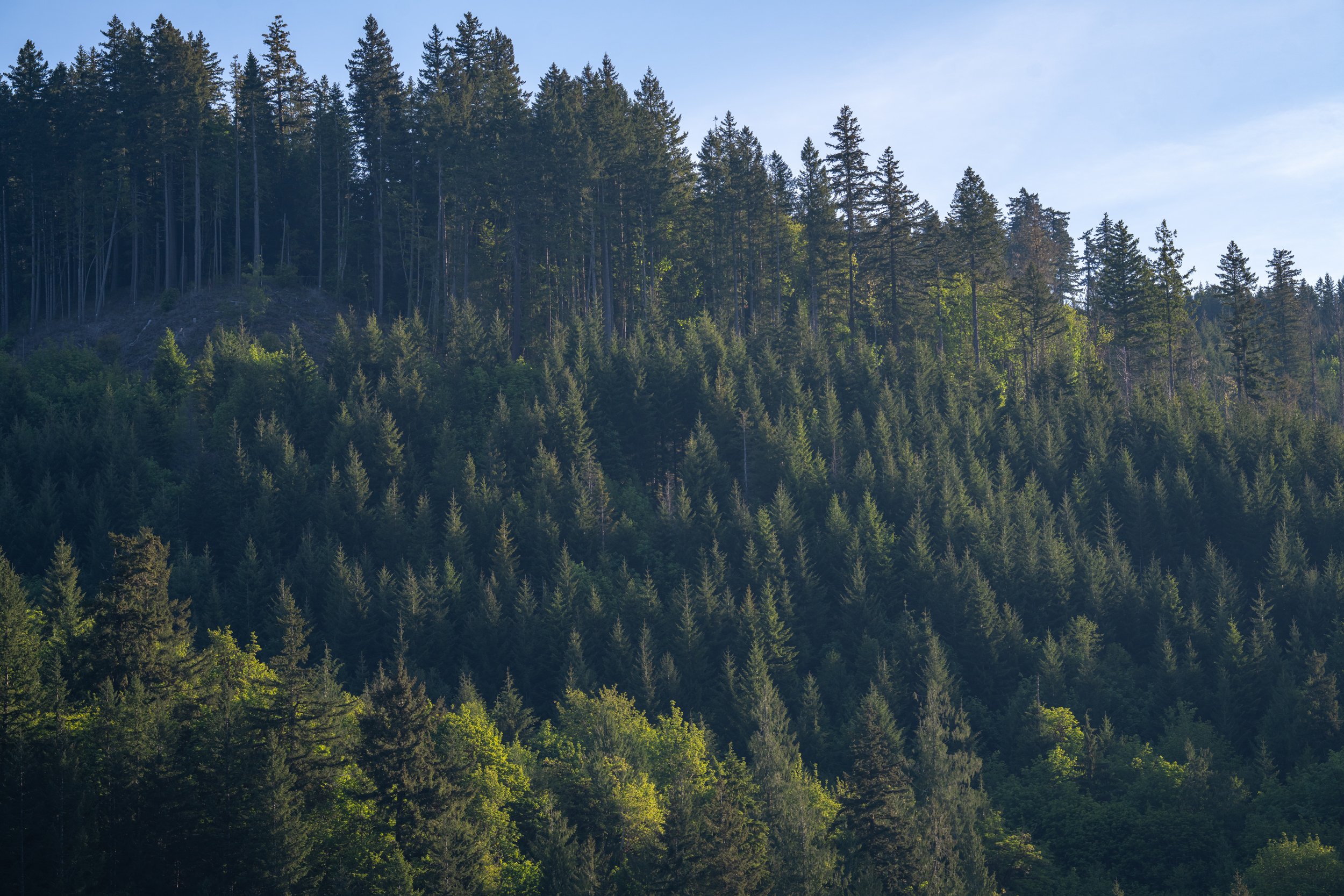 Olympic National Park
