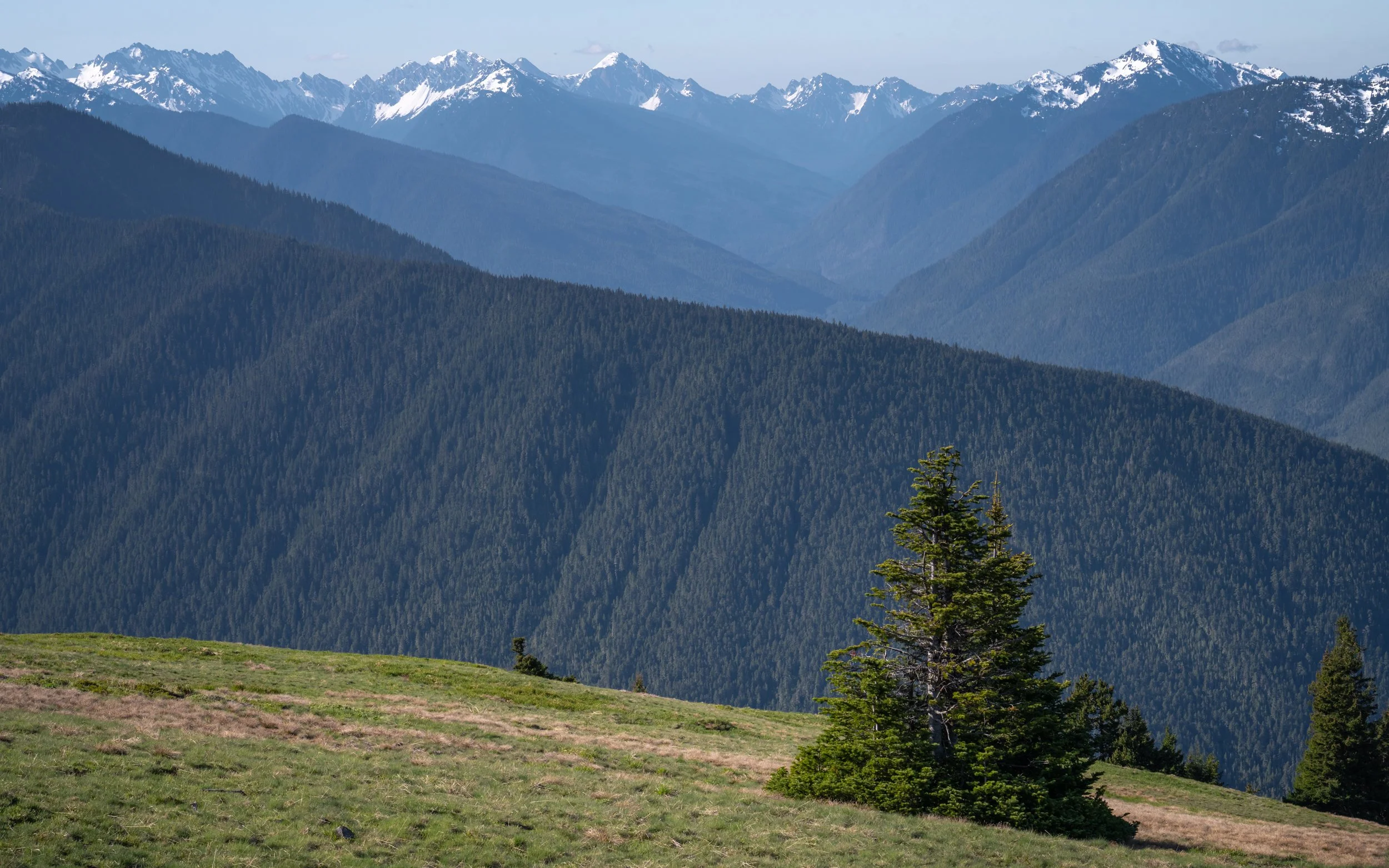 Olympic National Park