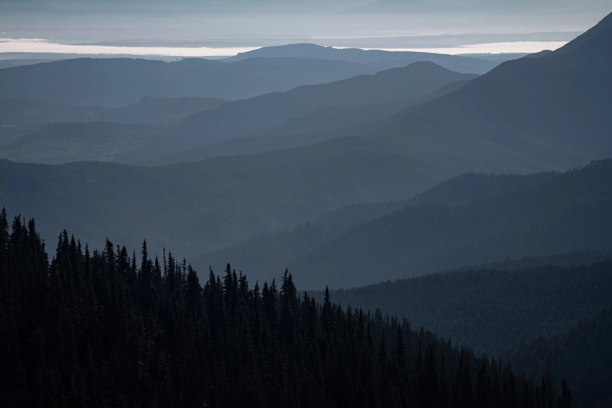 Olympic National Park