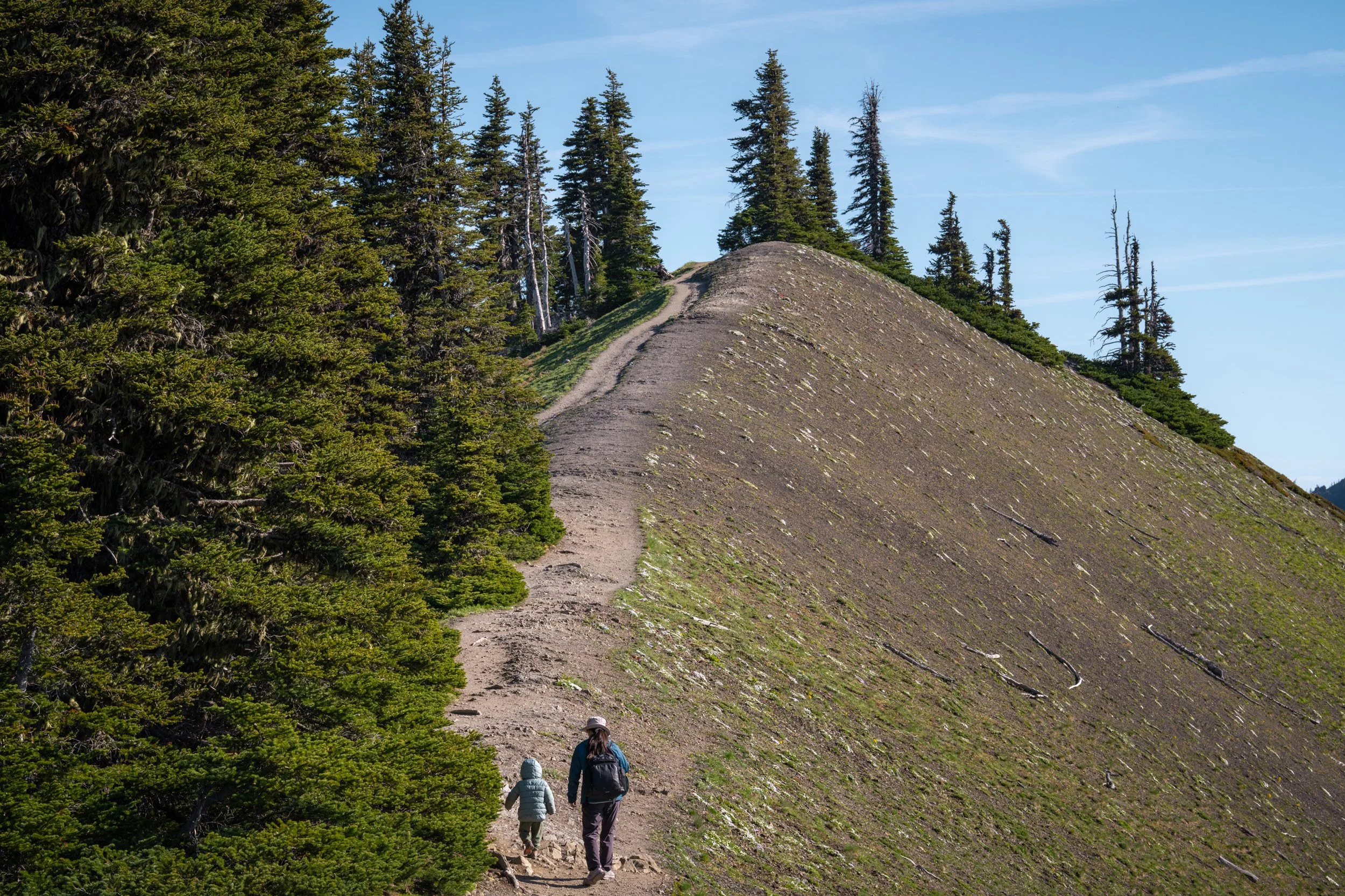 Olympic National Park