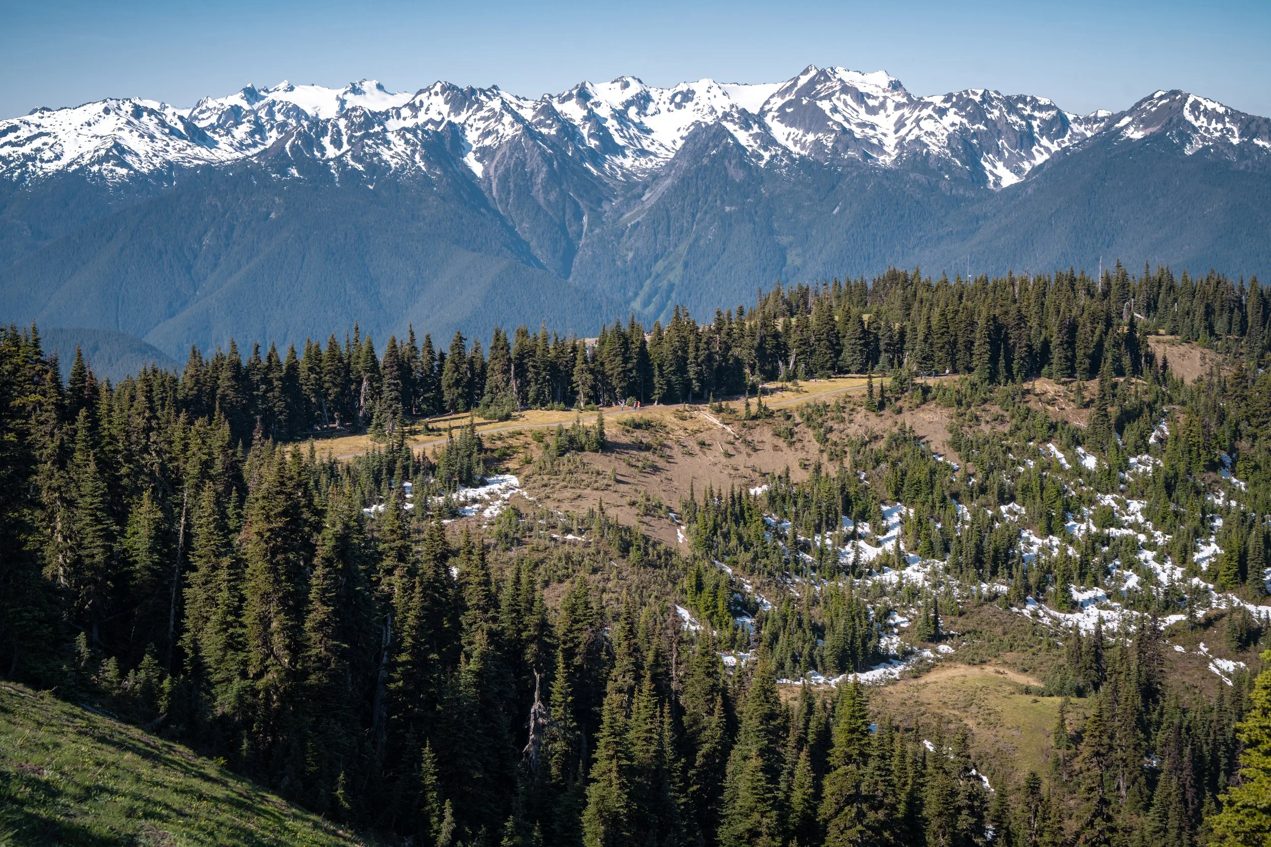 Olympic National Park