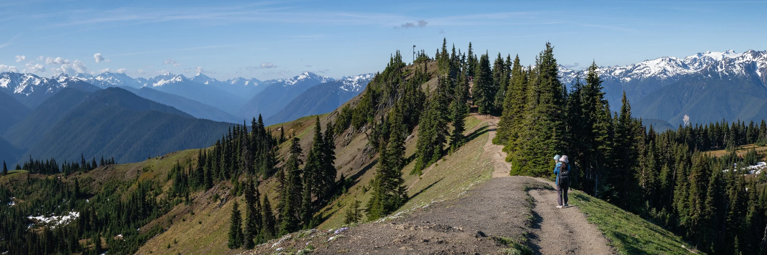 Olympic National Park