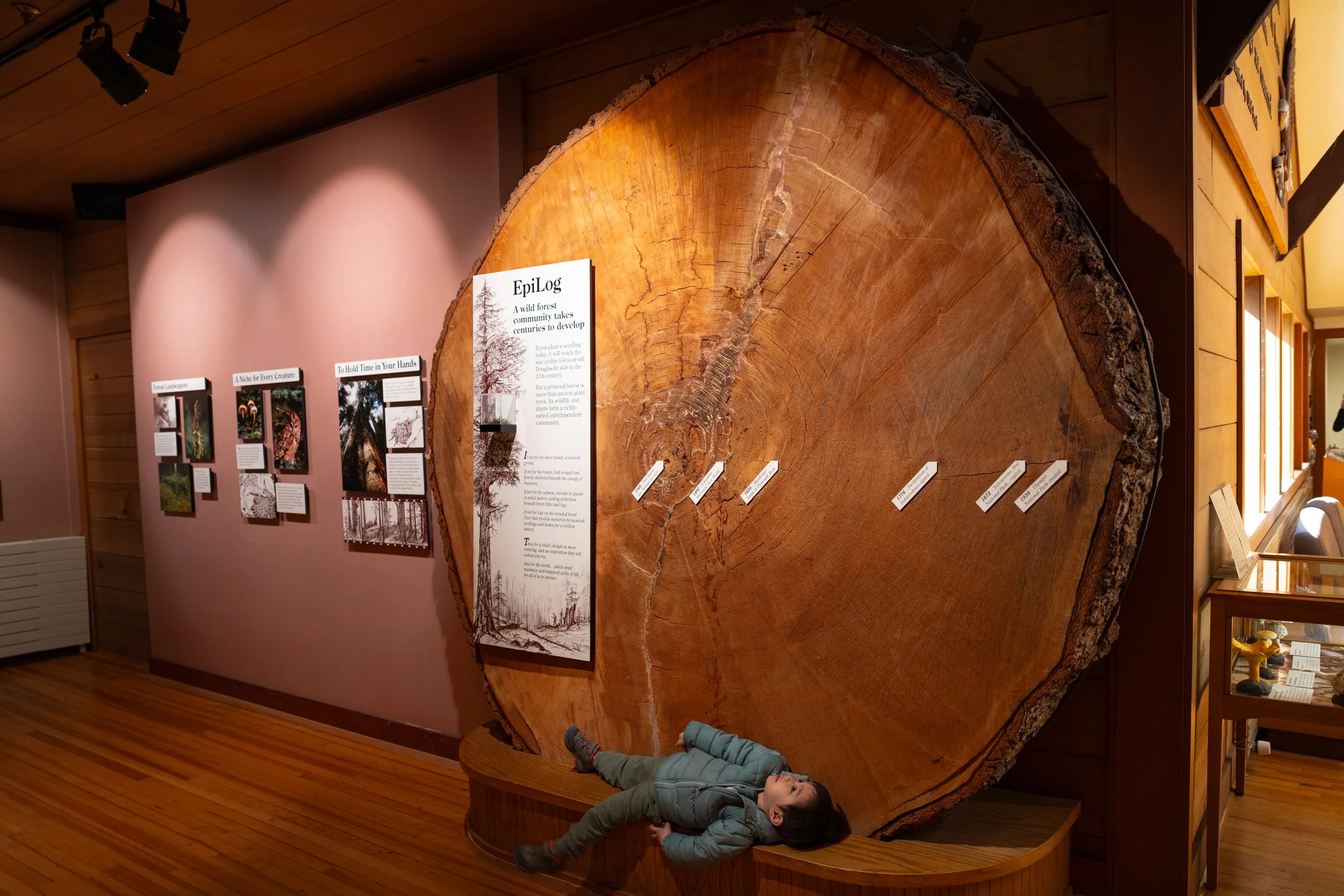 DSC03535-1.jpg
