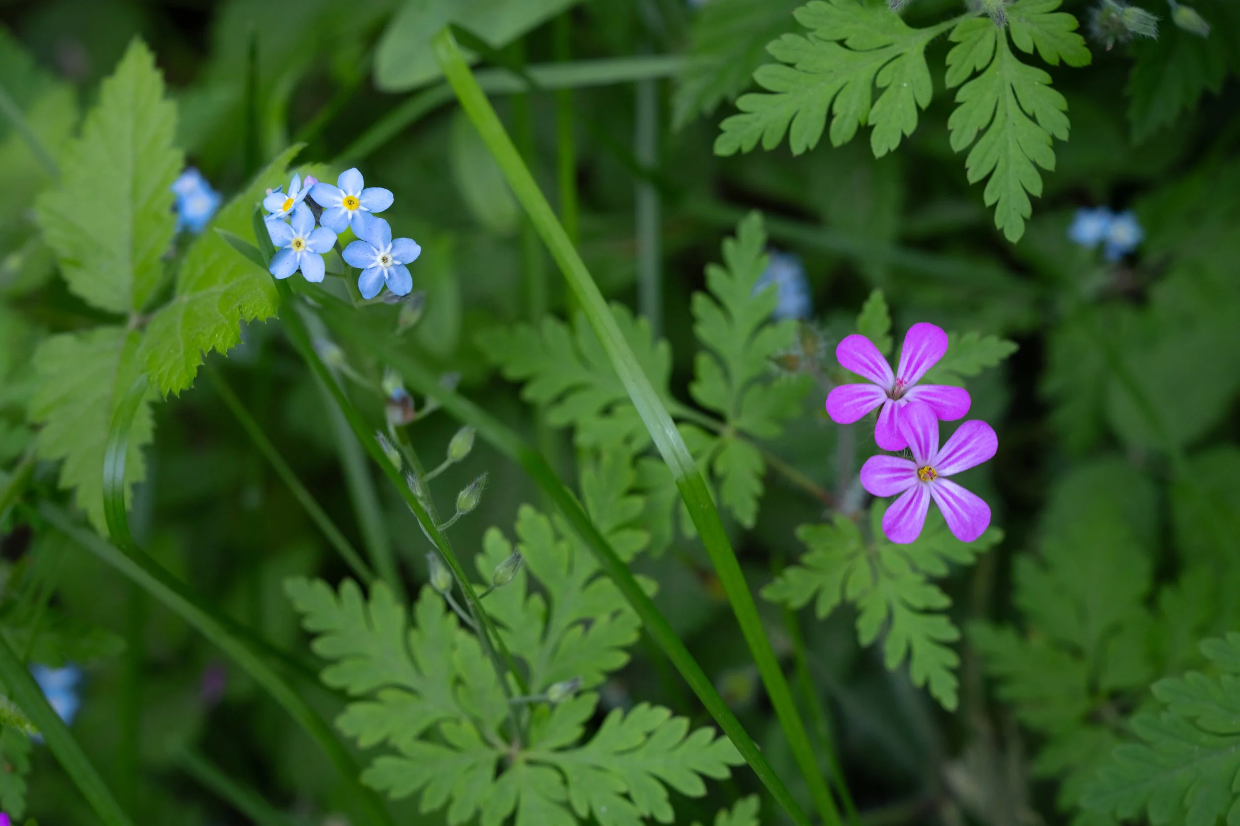 DSC03592-Edit-1.jpg