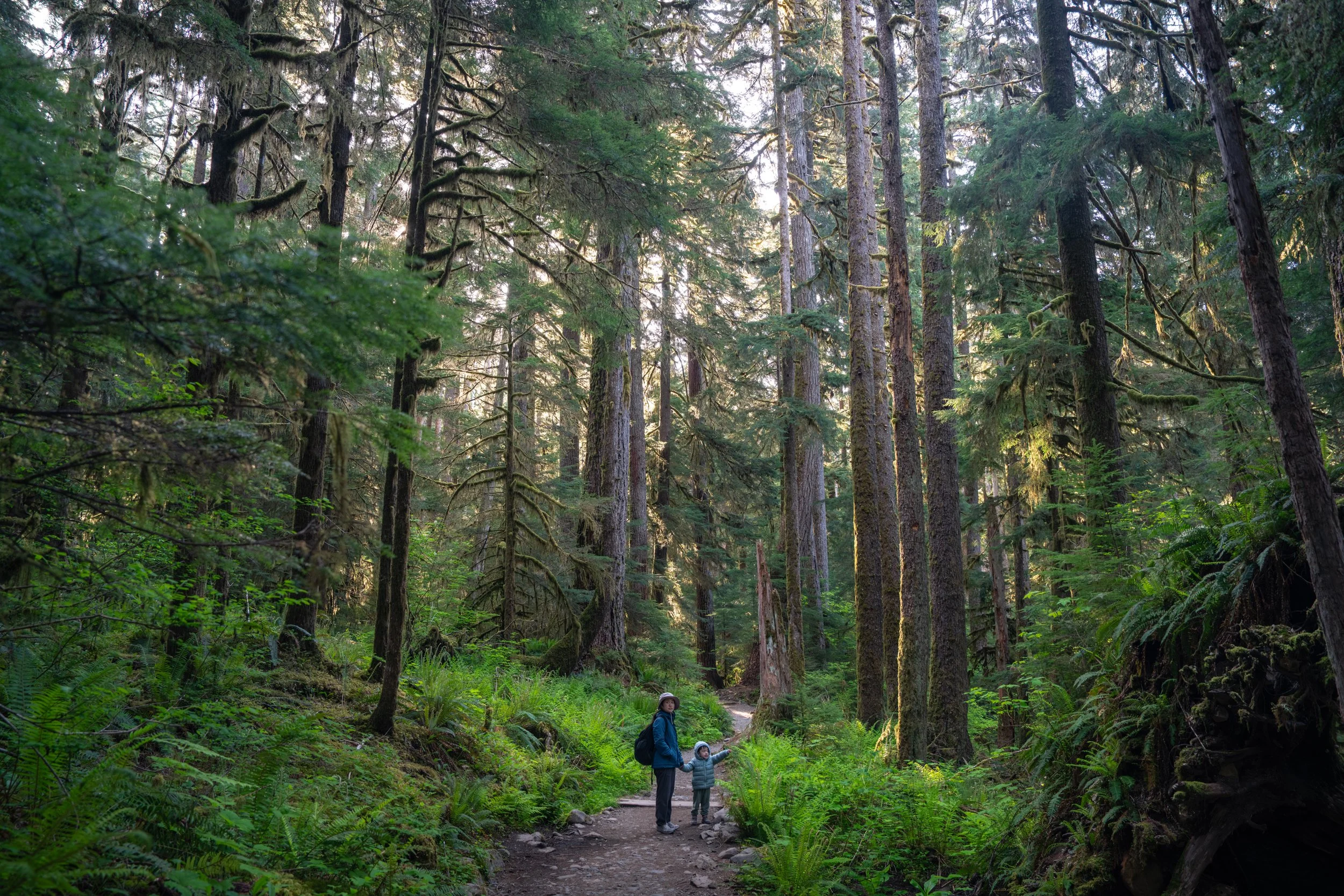 Olympic National Park