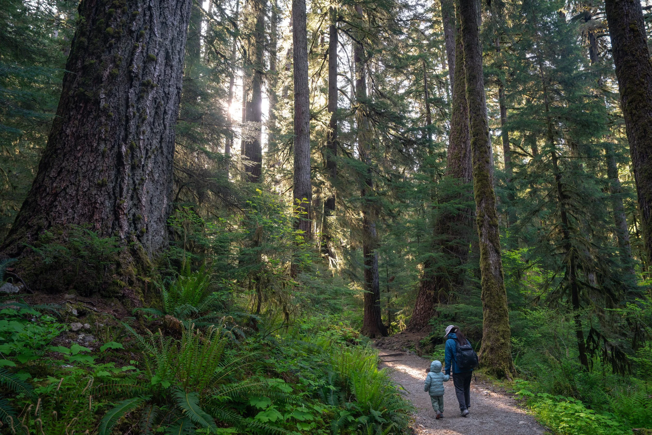 Olympic National Park