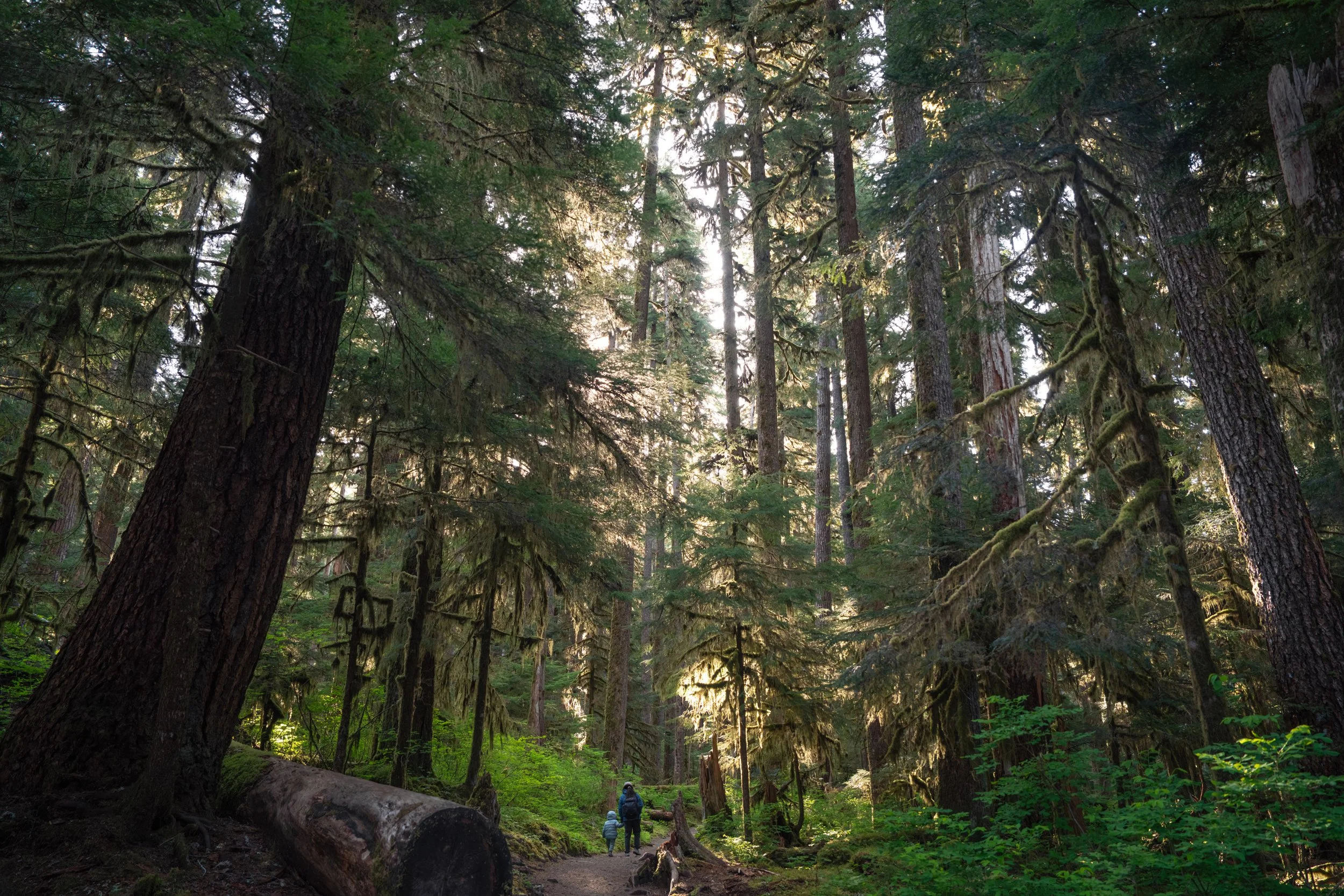 Olympic National Park