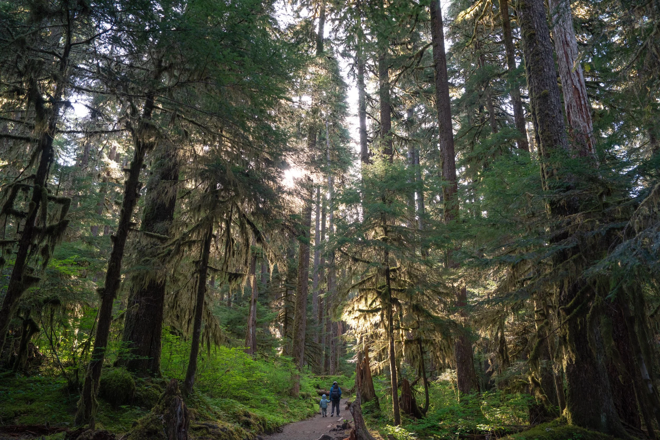 Olympic National Park