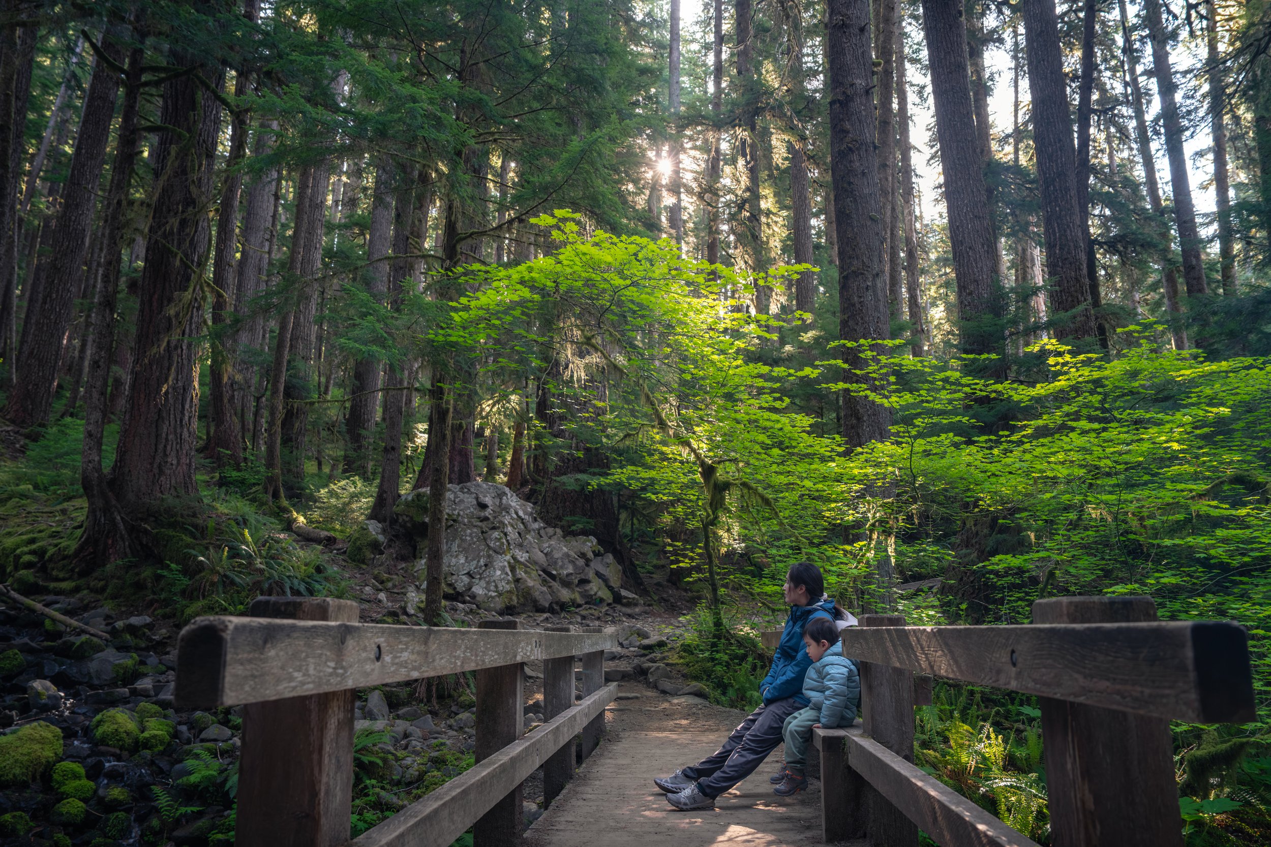 Olympic National Park