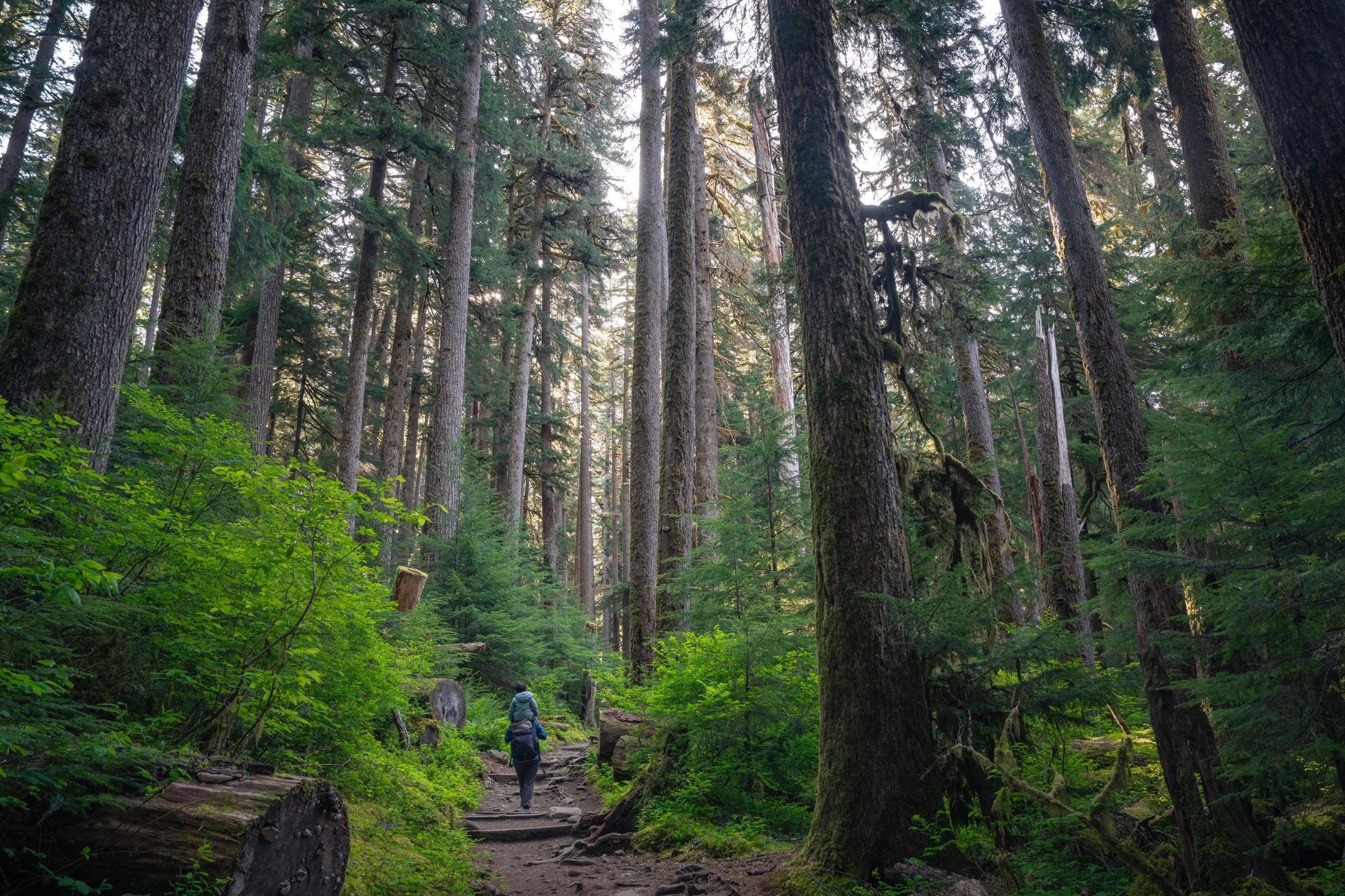 Olympic National Park
