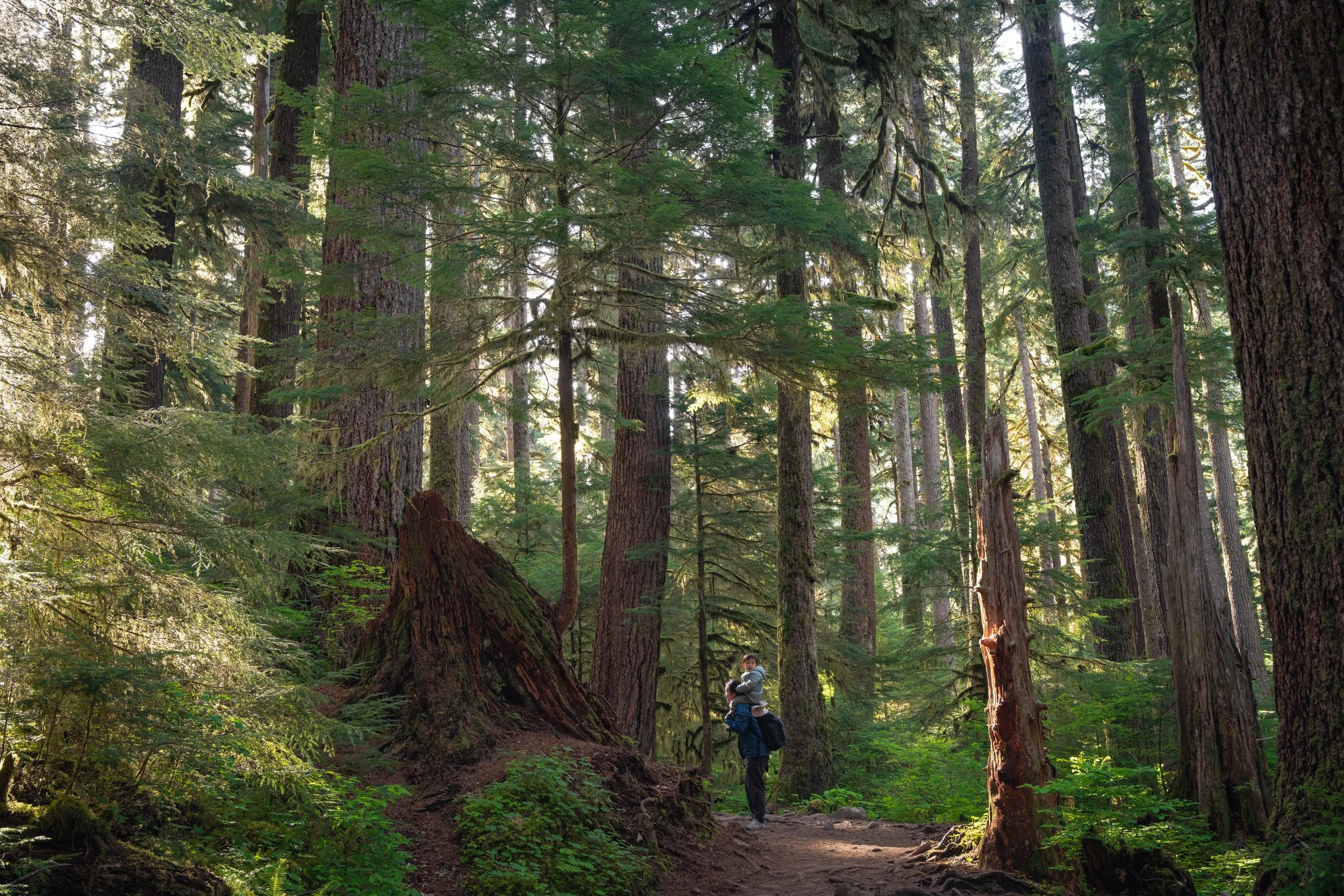 Olympic National Park