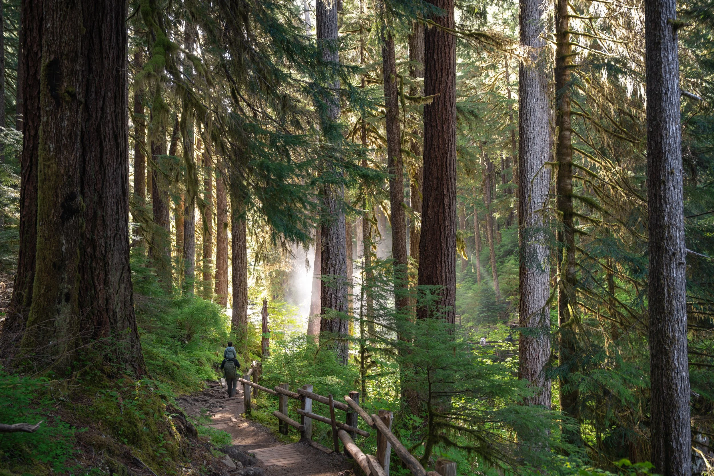 Olympic National Park