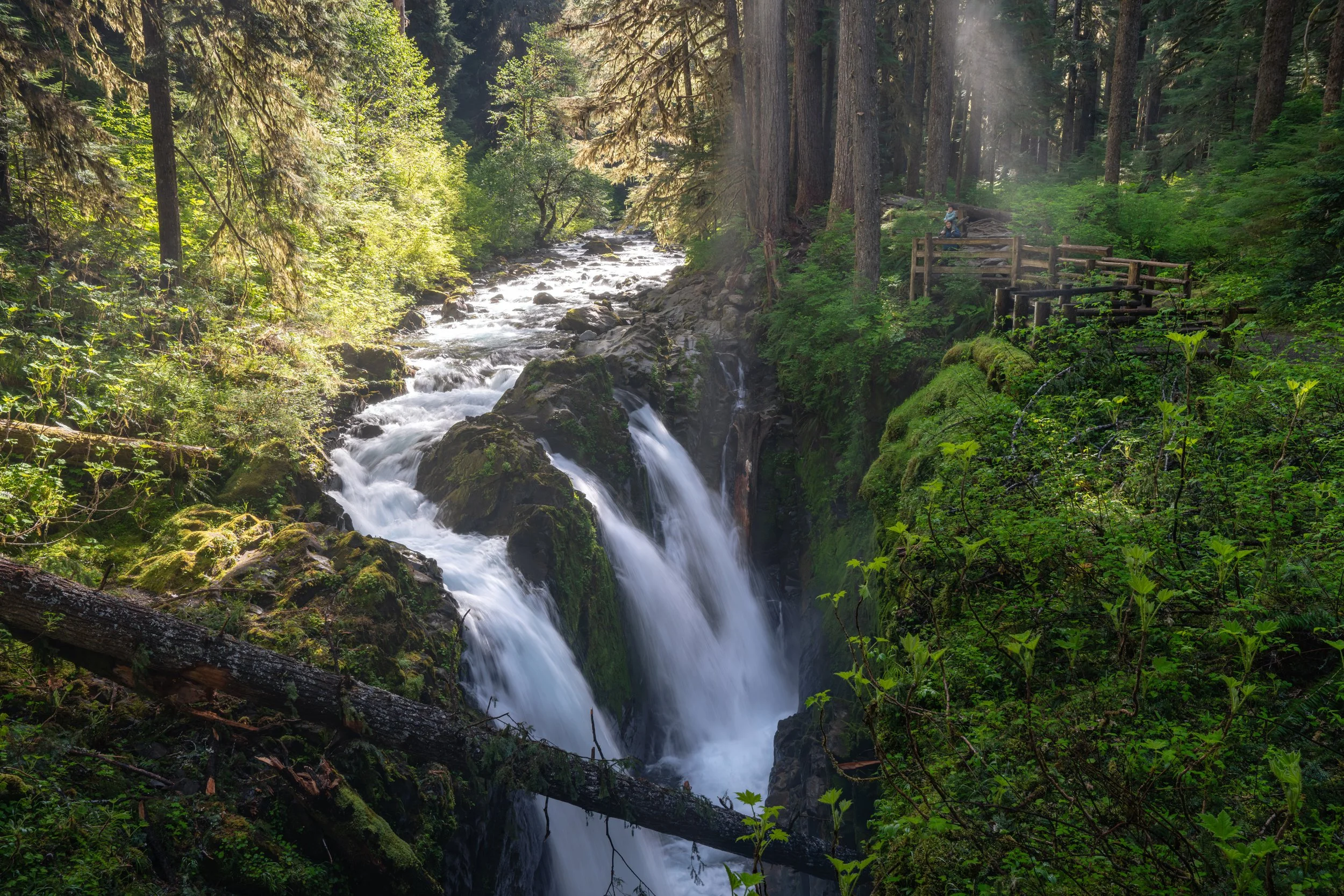 Olympic National Park