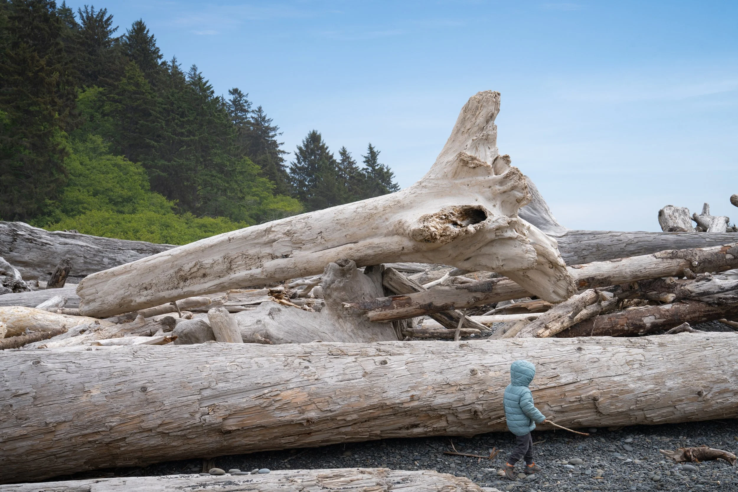 Olympic National Park