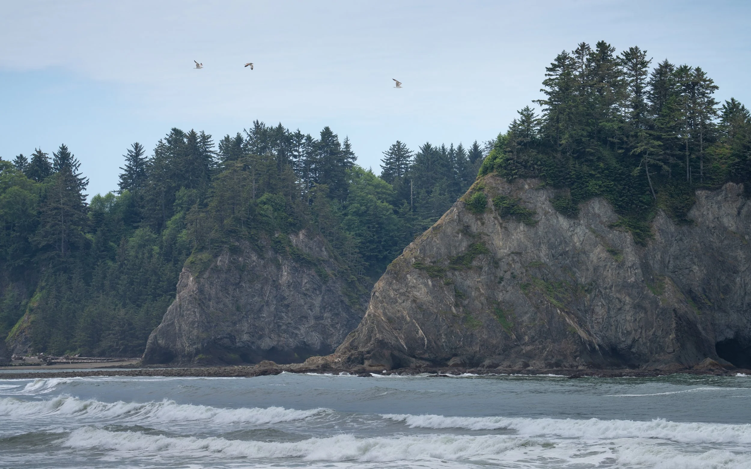 Olympic National Park