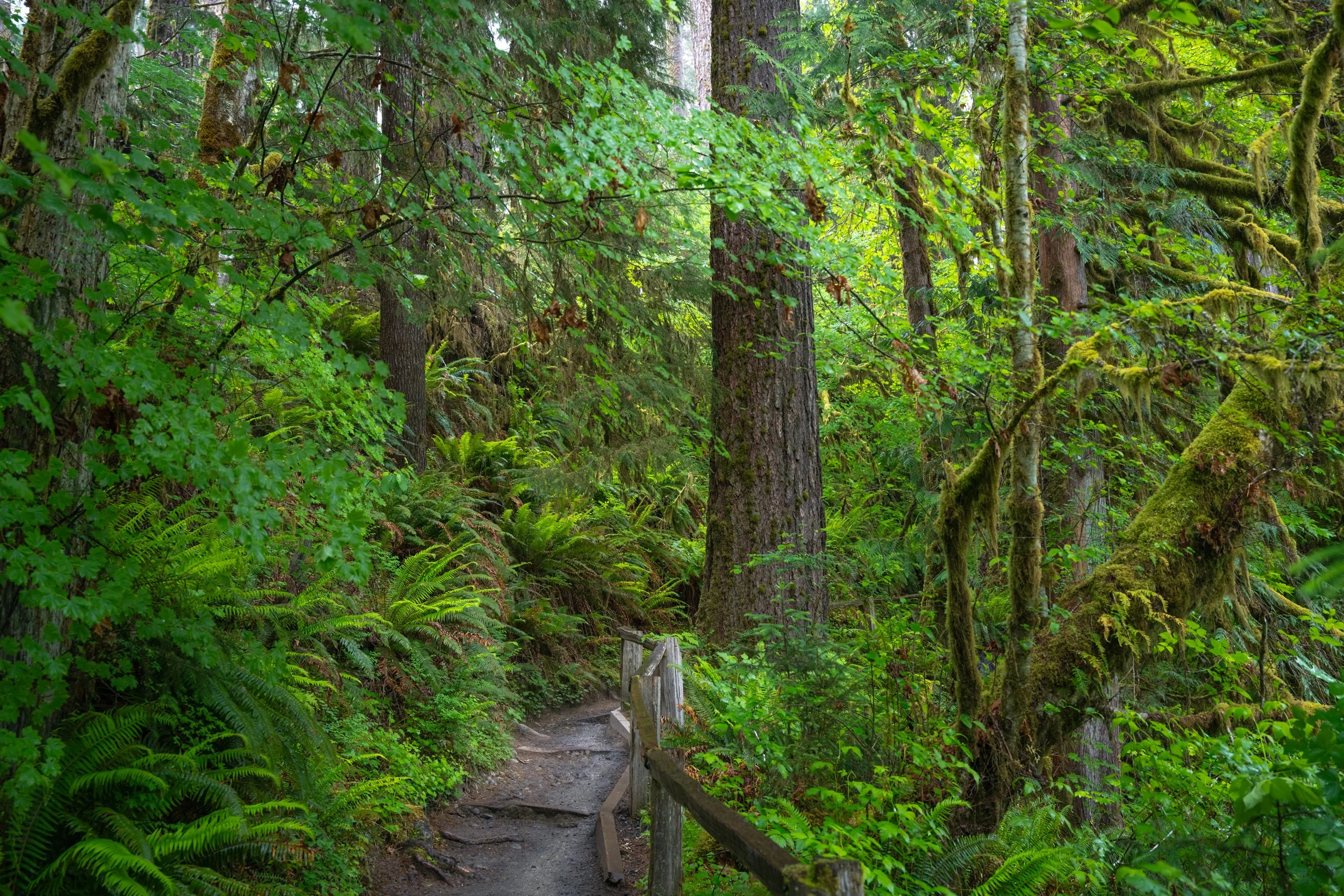 Olympic National Park