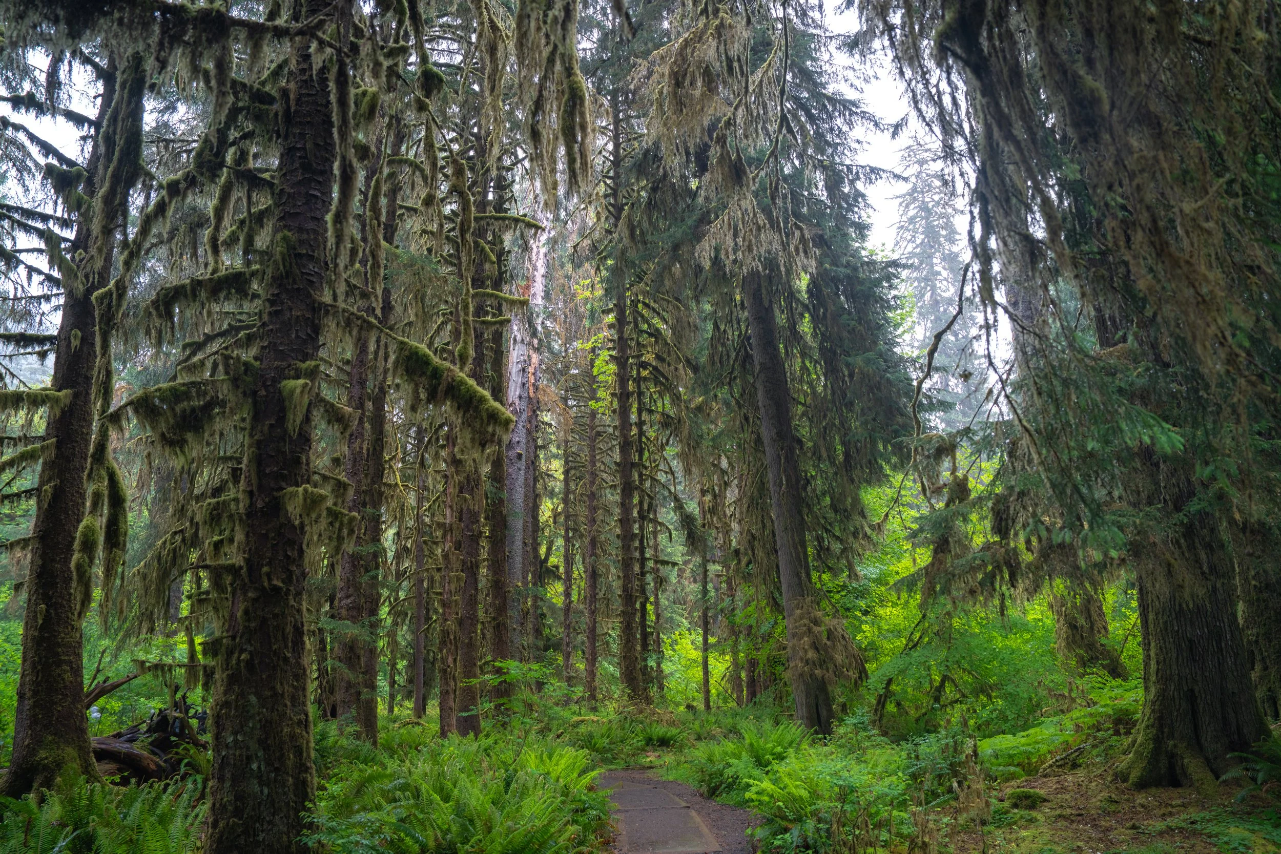 Olympic National Park
