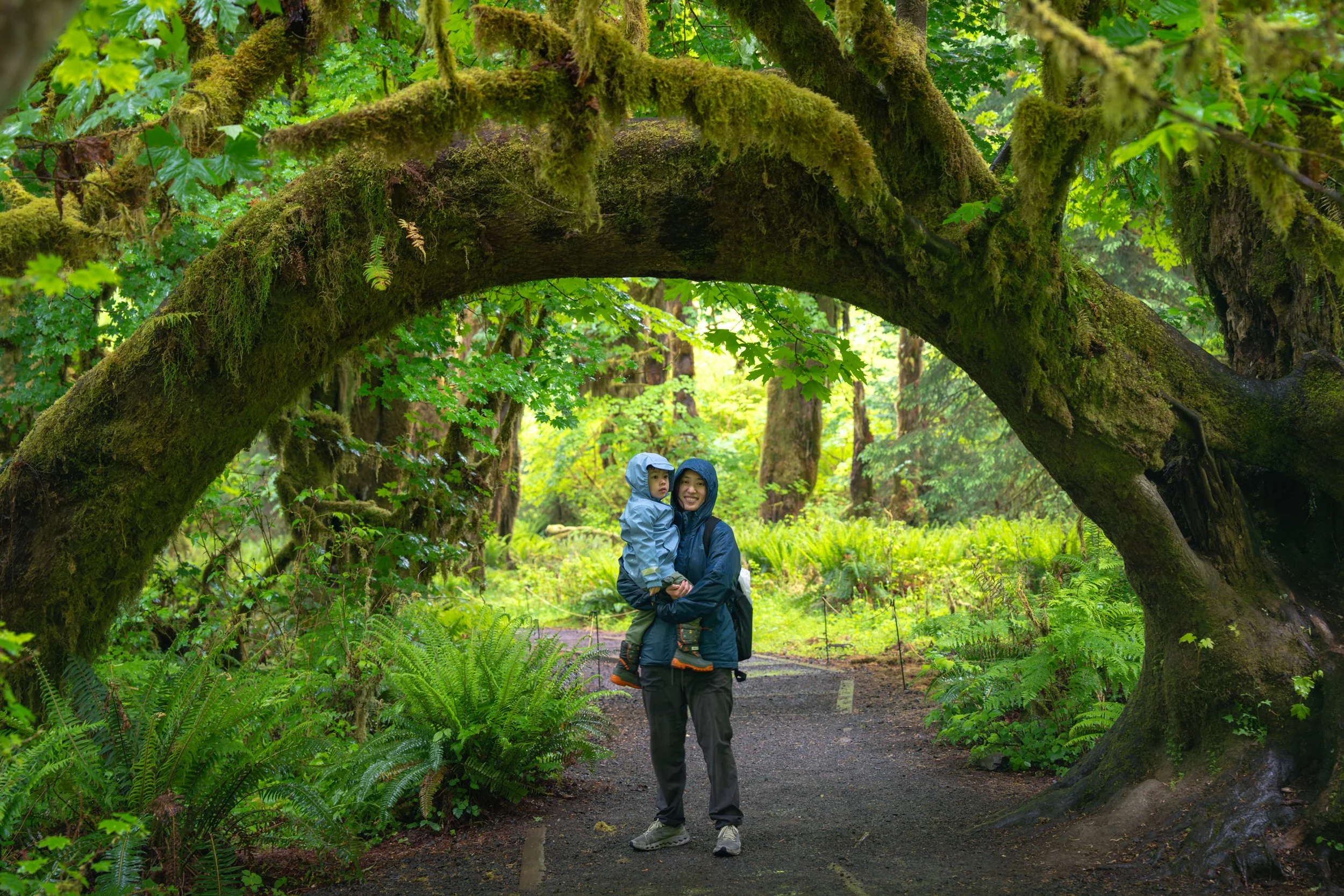 Olympic National Park