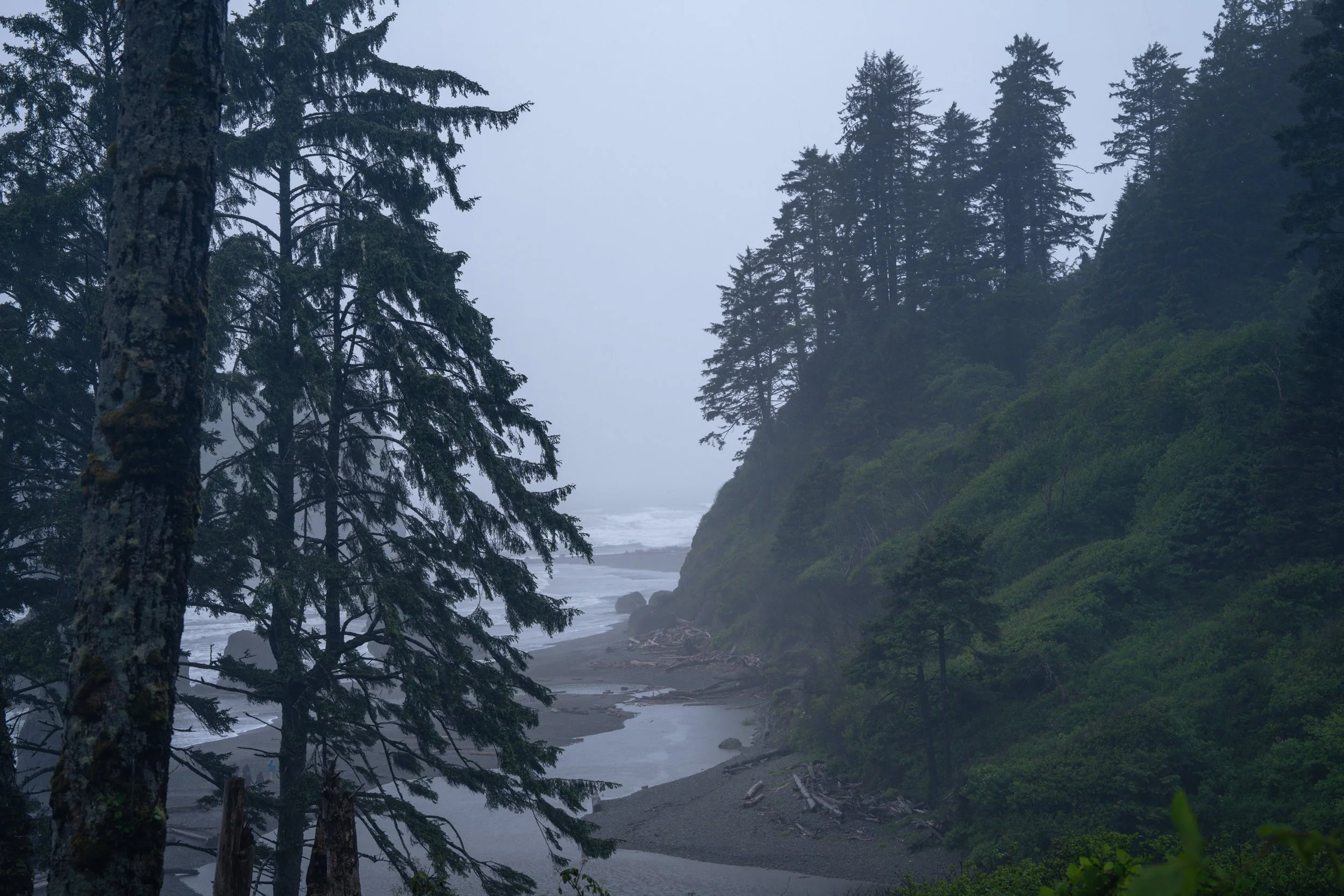 Olympic National Park