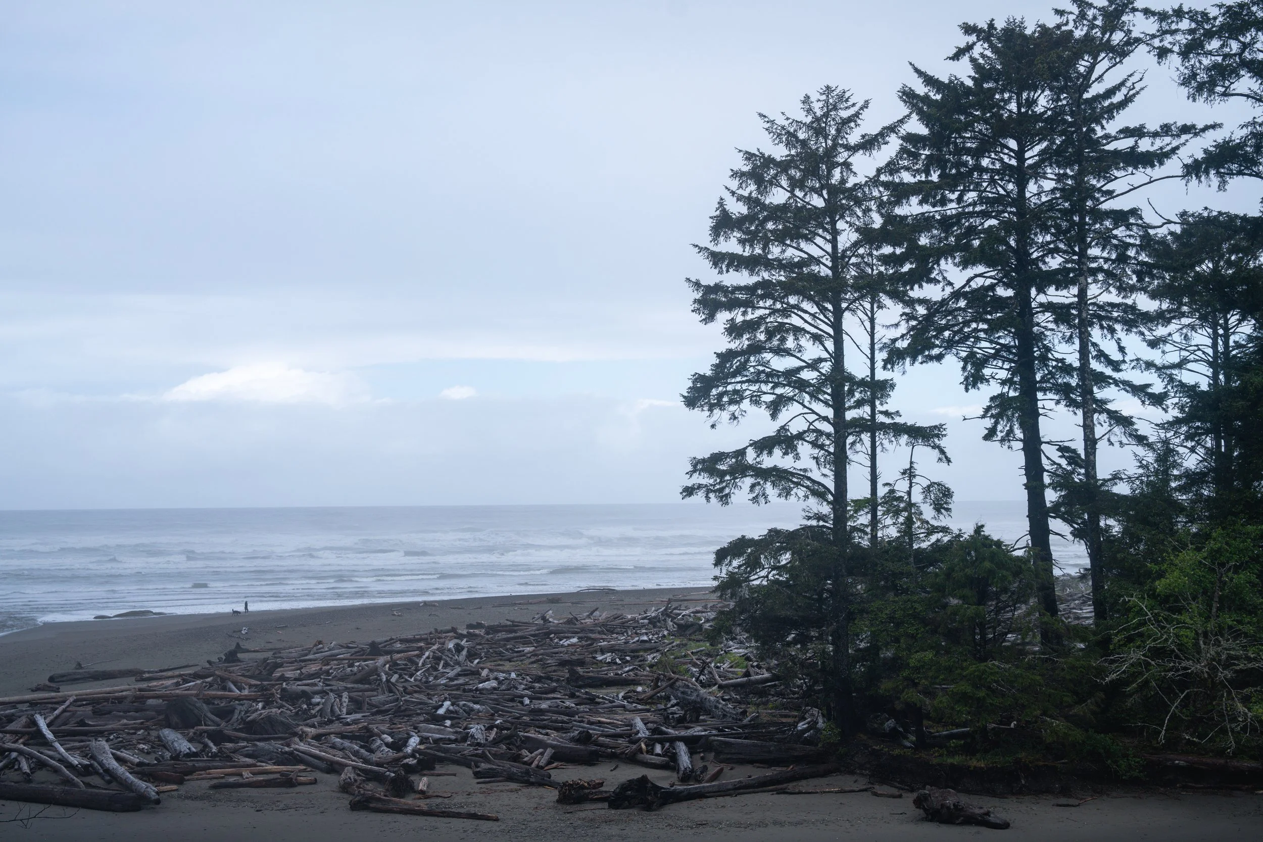 Olympic National Park