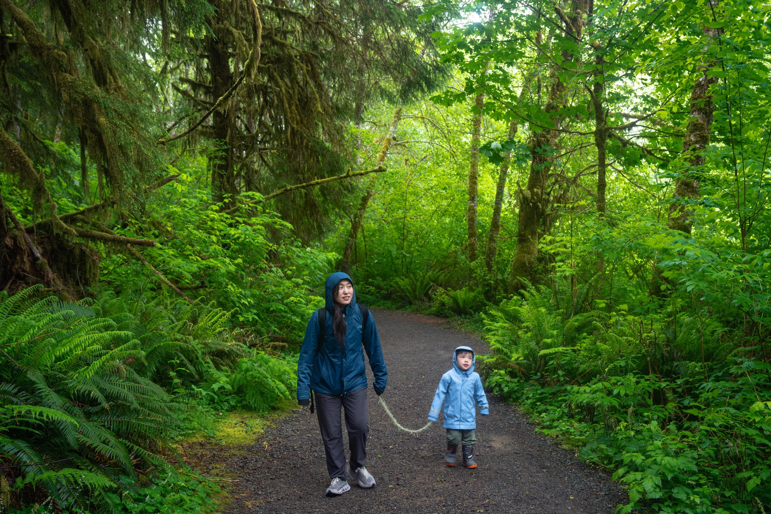 Olympic National Park