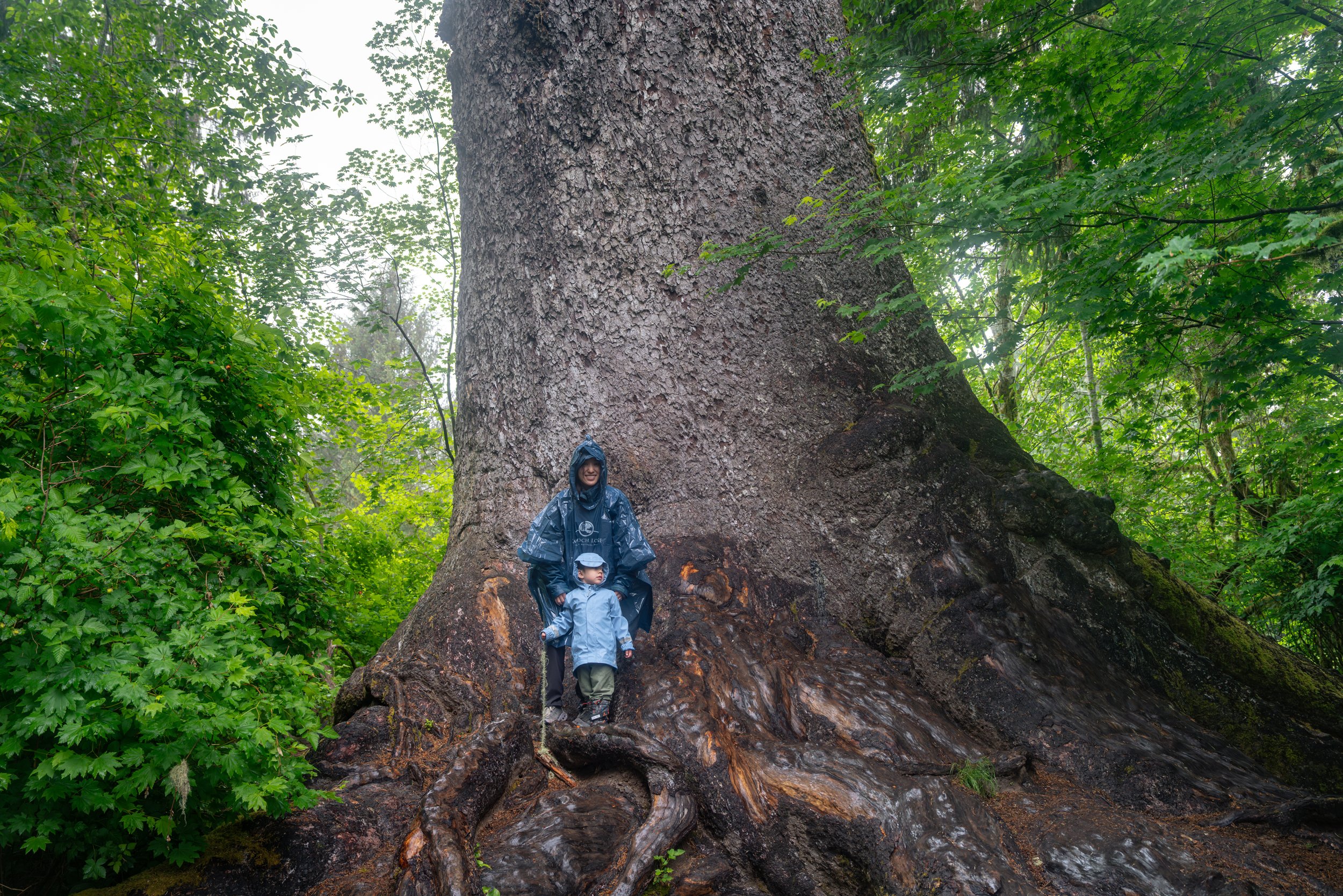 Olympic National Park