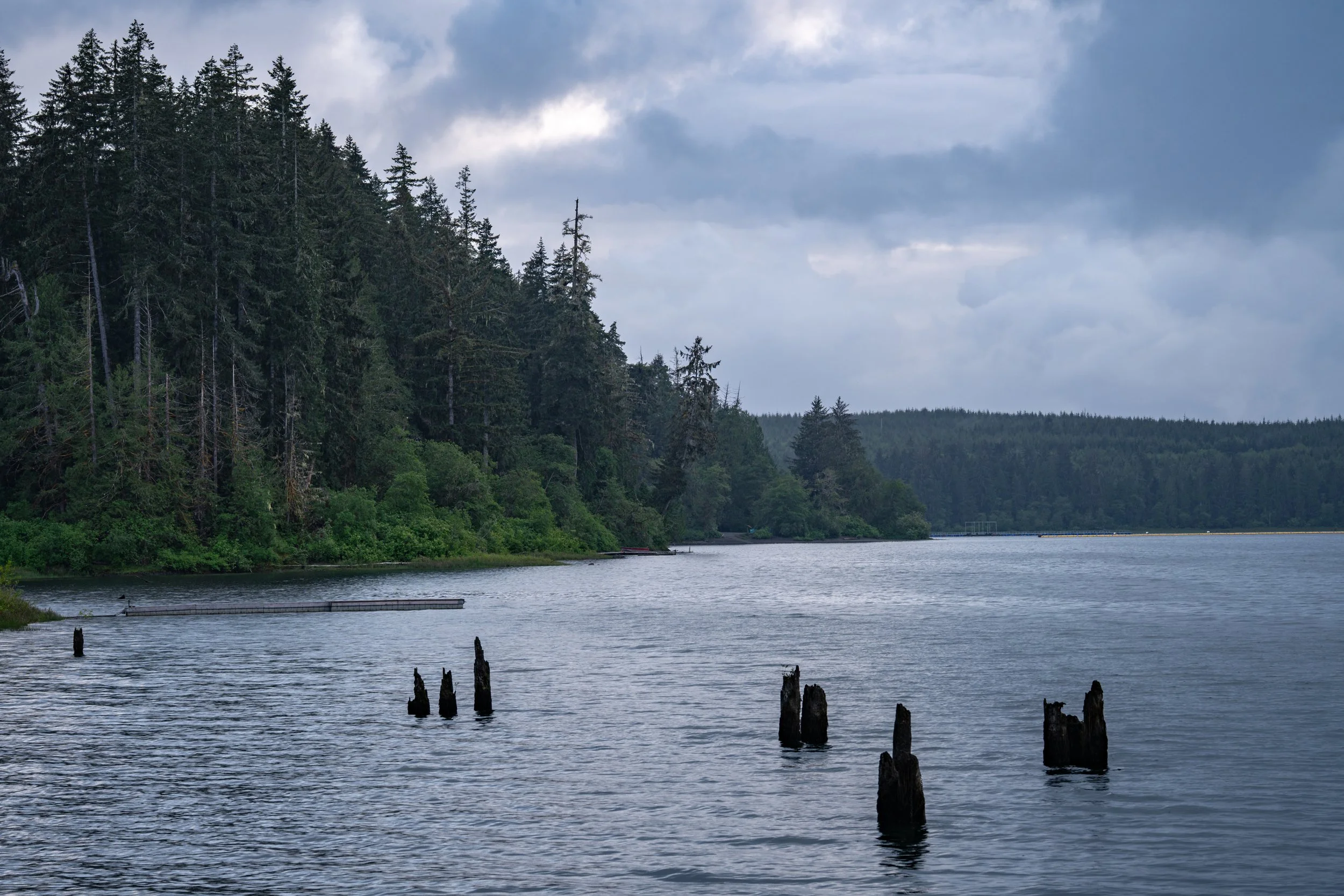DSC04650-1.jpg