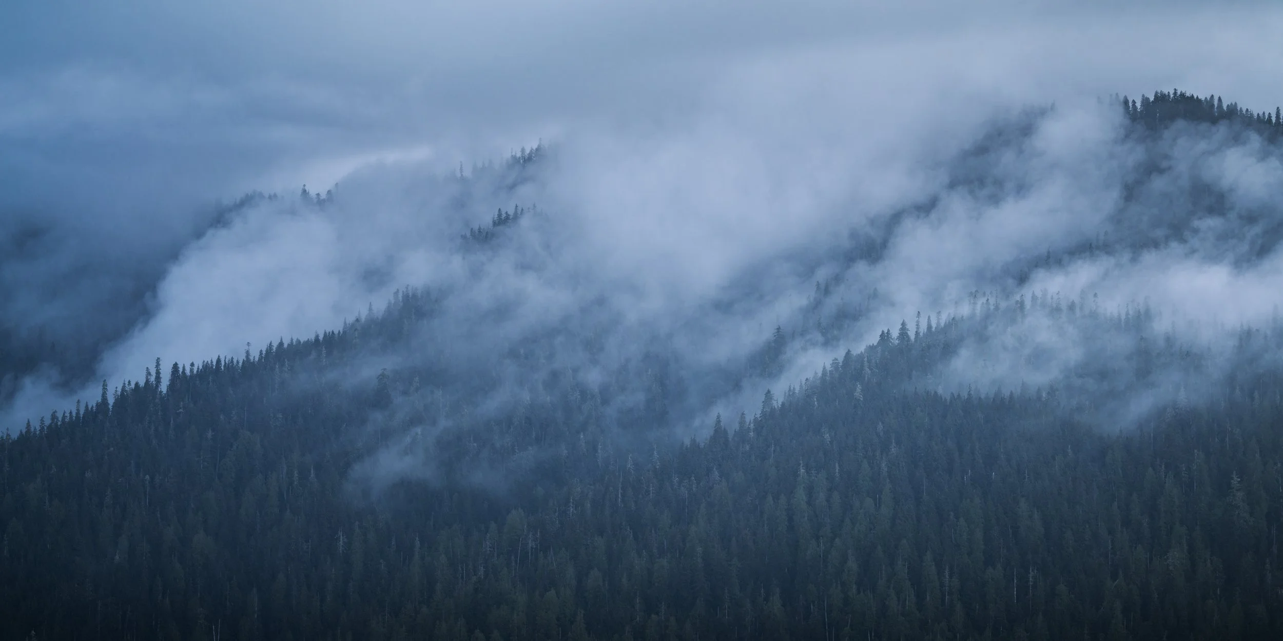 Olympic National Park