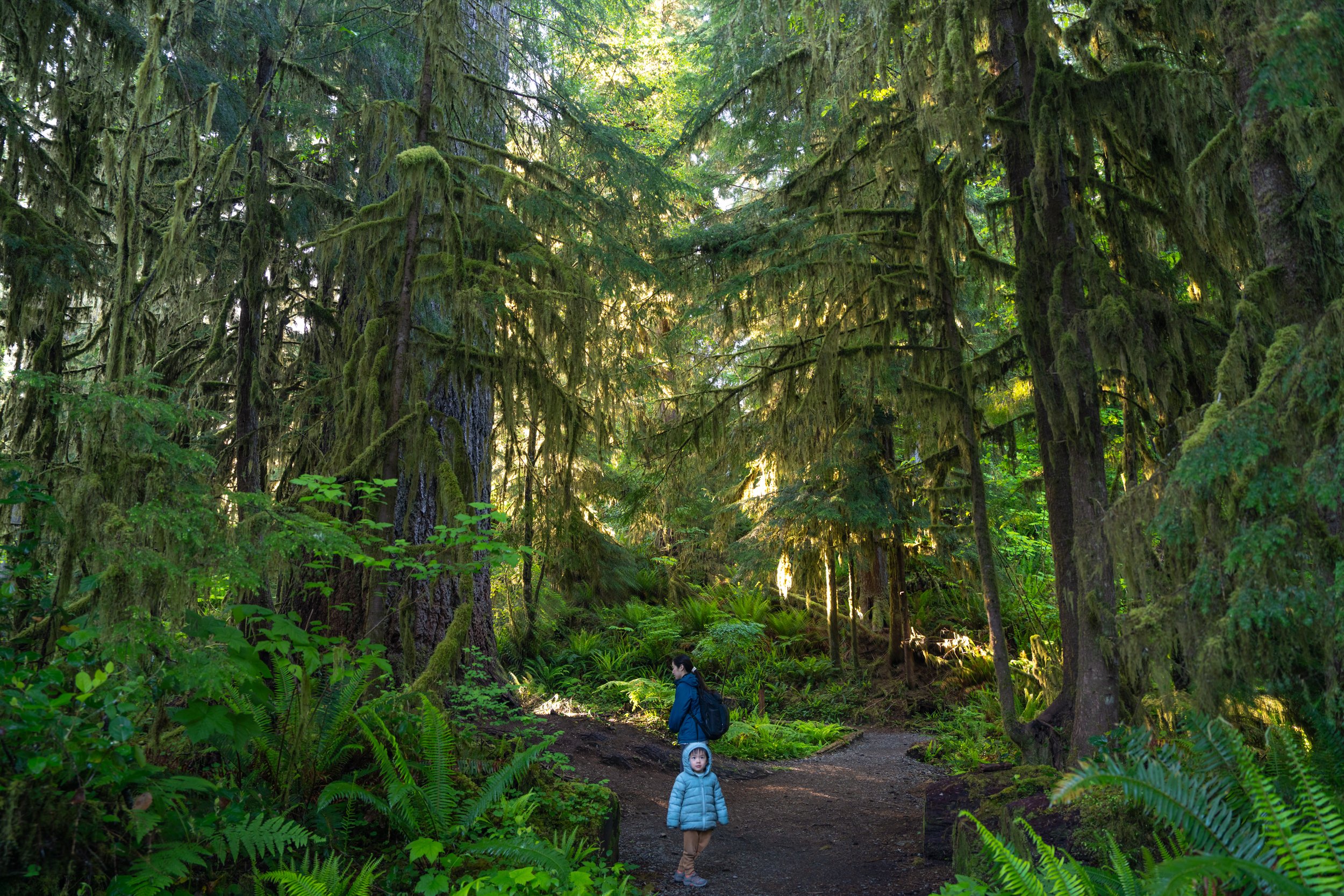 Olympic National Park