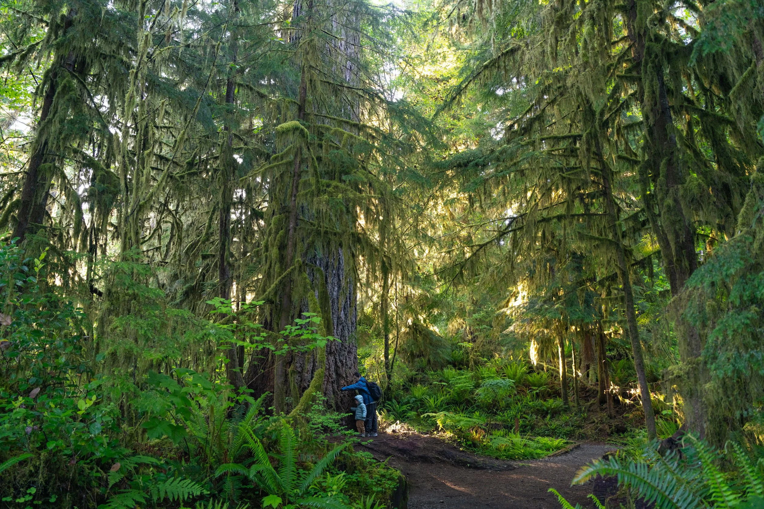 Olympic National Park