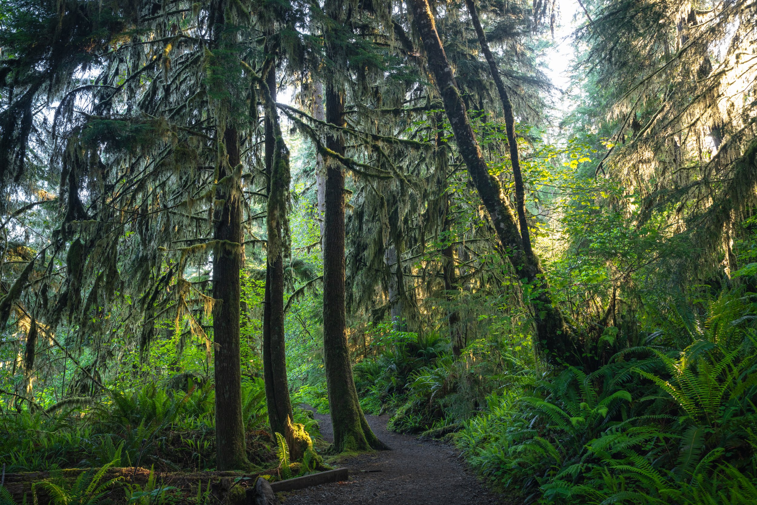 Olympic National Park
