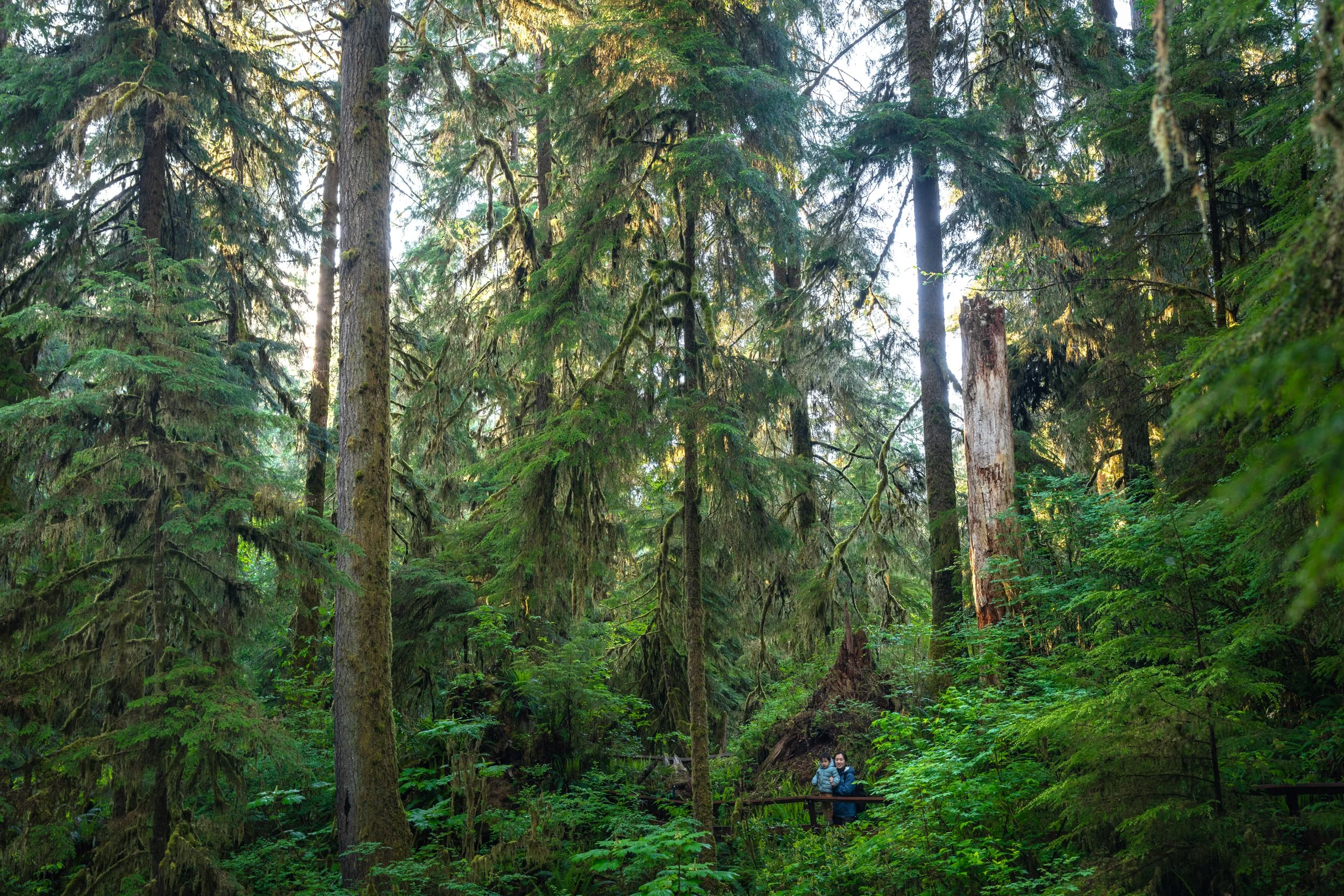 Olympic National Park