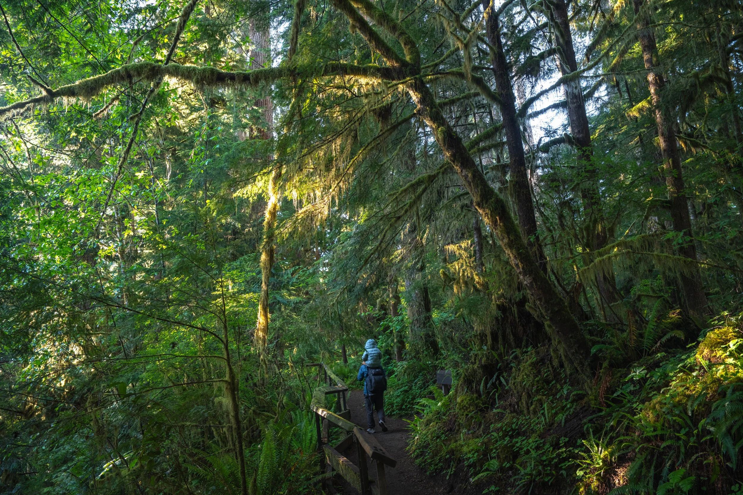 Olympic National Park