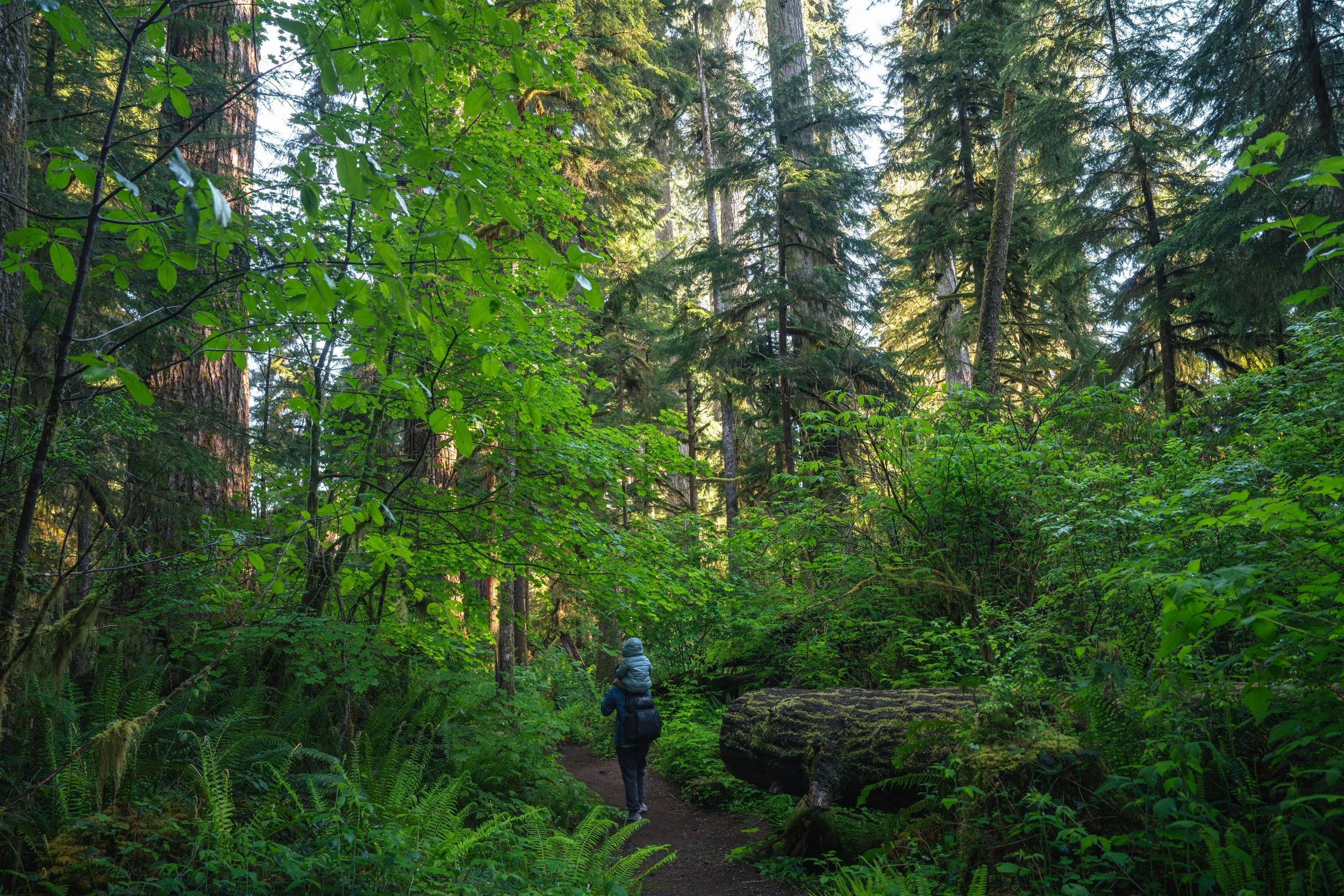 Olympic National Park