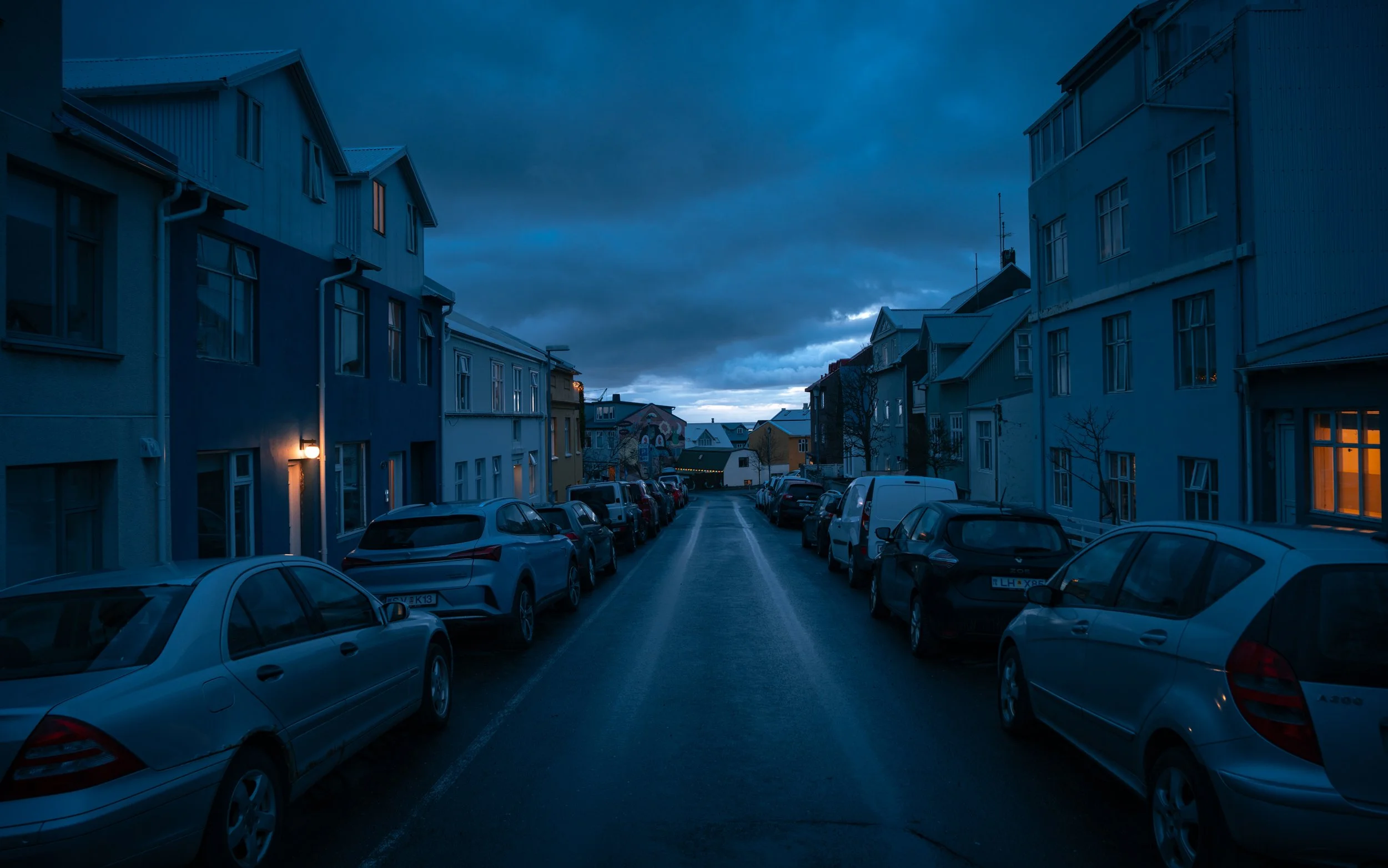 DSC01641-1.jpg