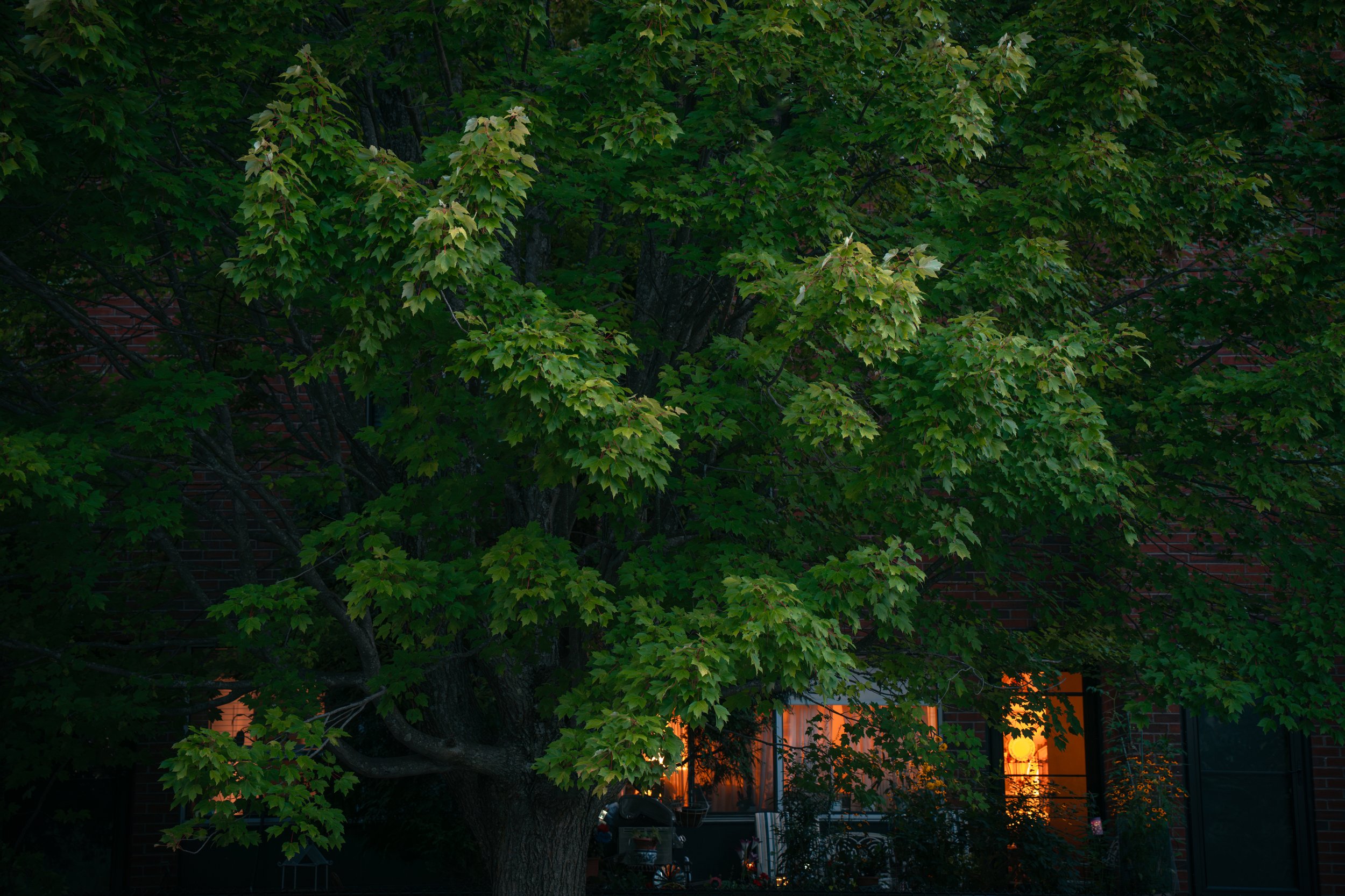 Brookline