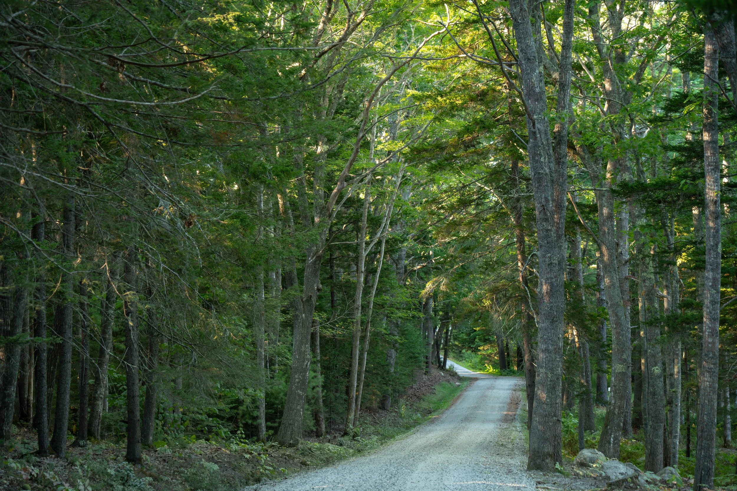 DSC05282-1.jpg