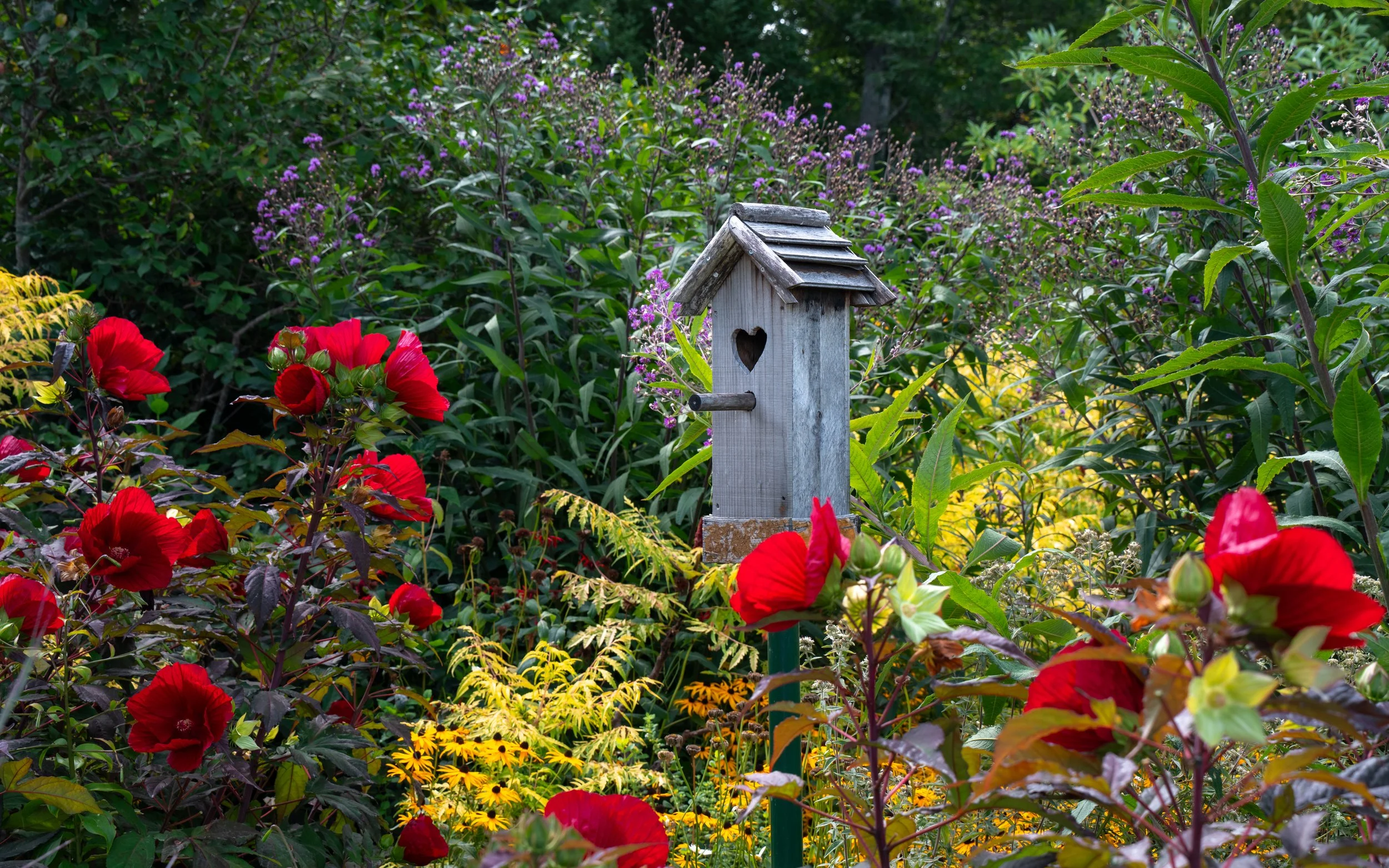 DSC06158-1.jpg