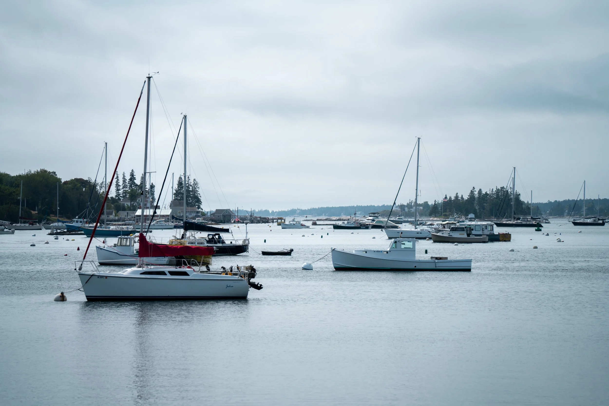 DSC06201-1.jpg