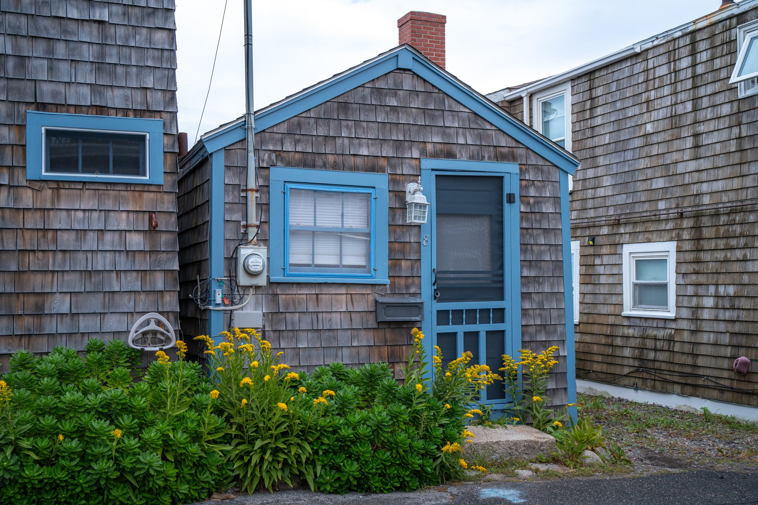 DSC06319-1.jpg