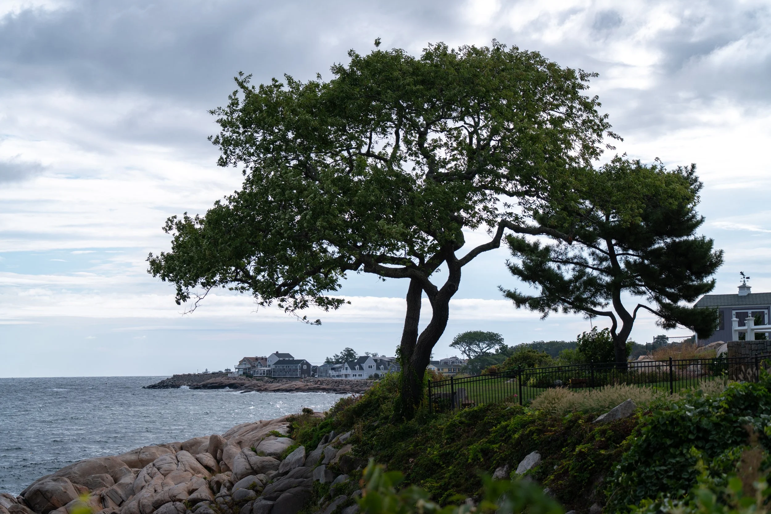 DSC06635-1.jpg