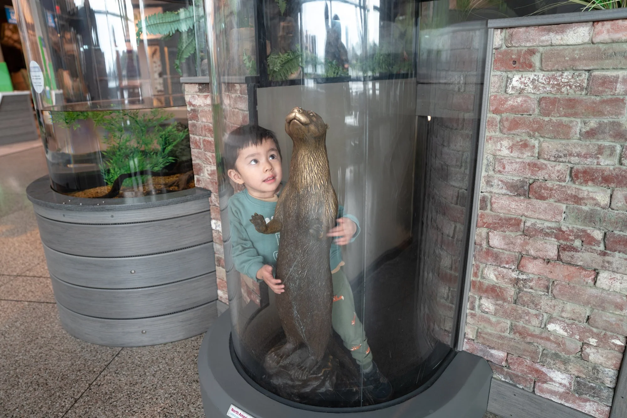DSC07579-1.jpg