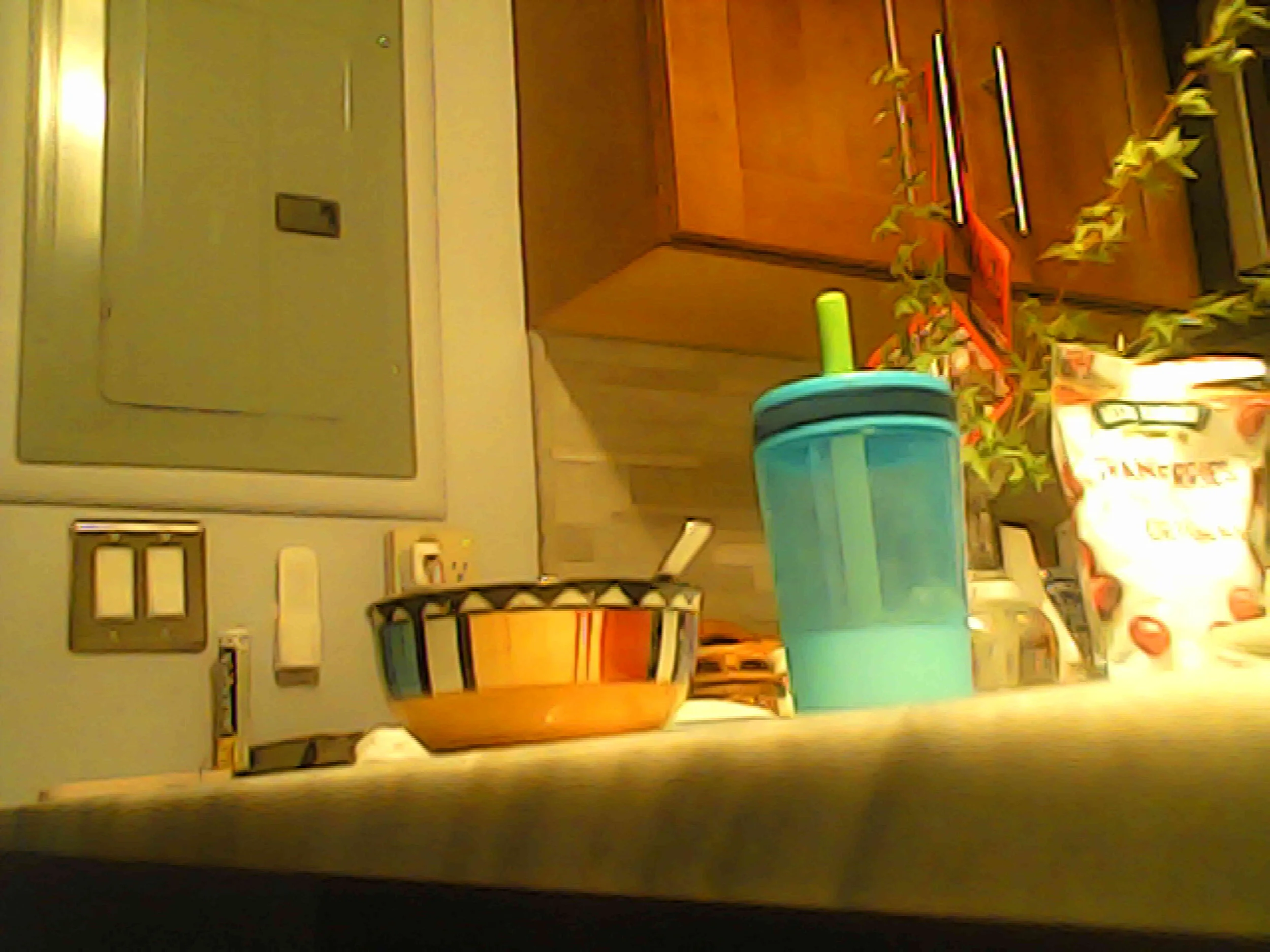 PICT0334.jpg