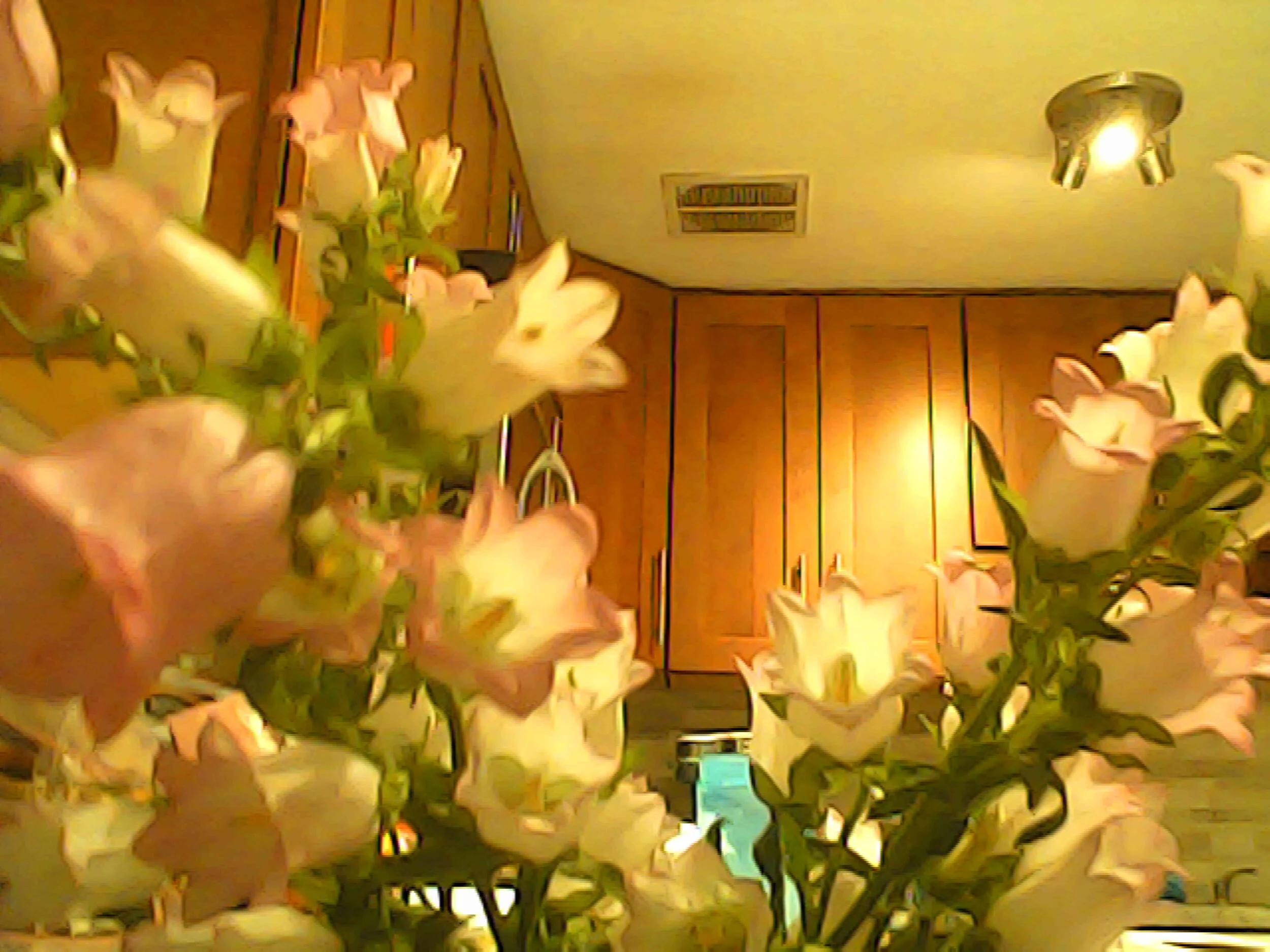 PICT0732.jpg