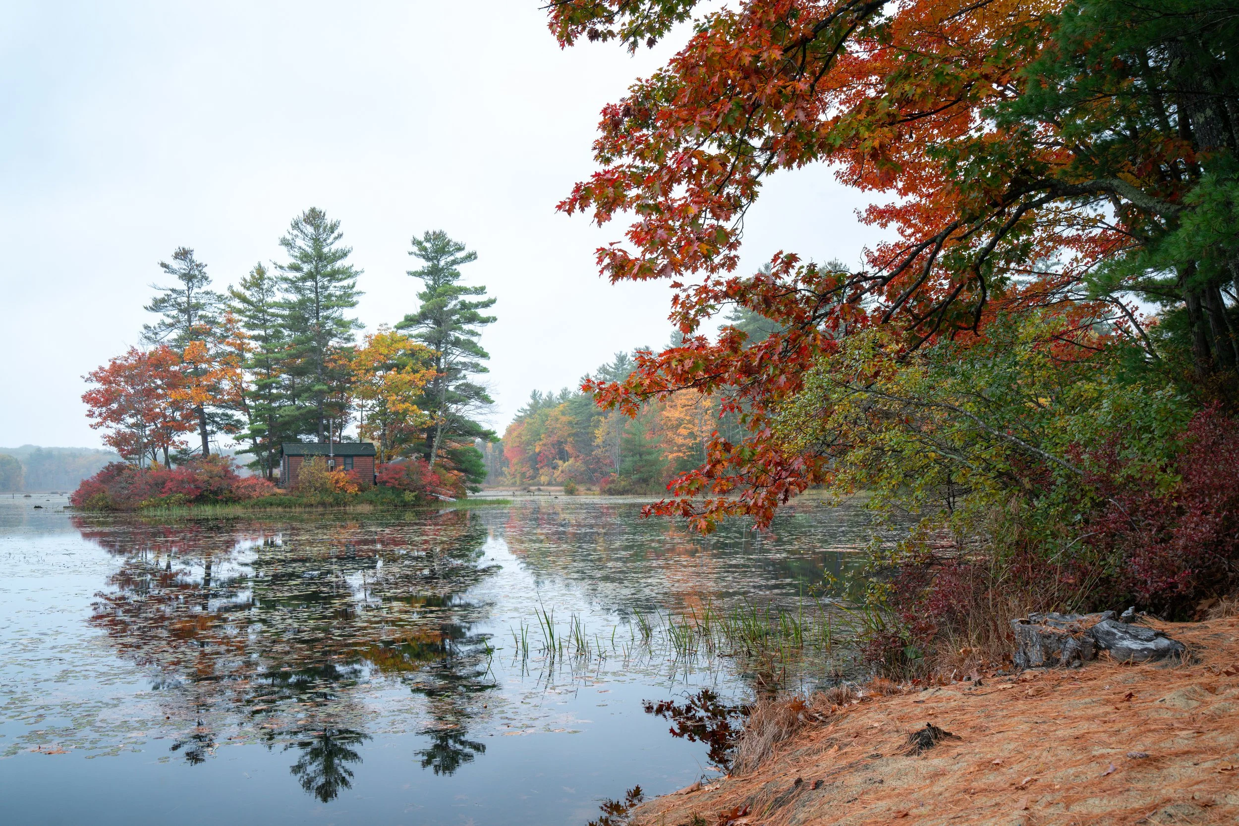 Rindge