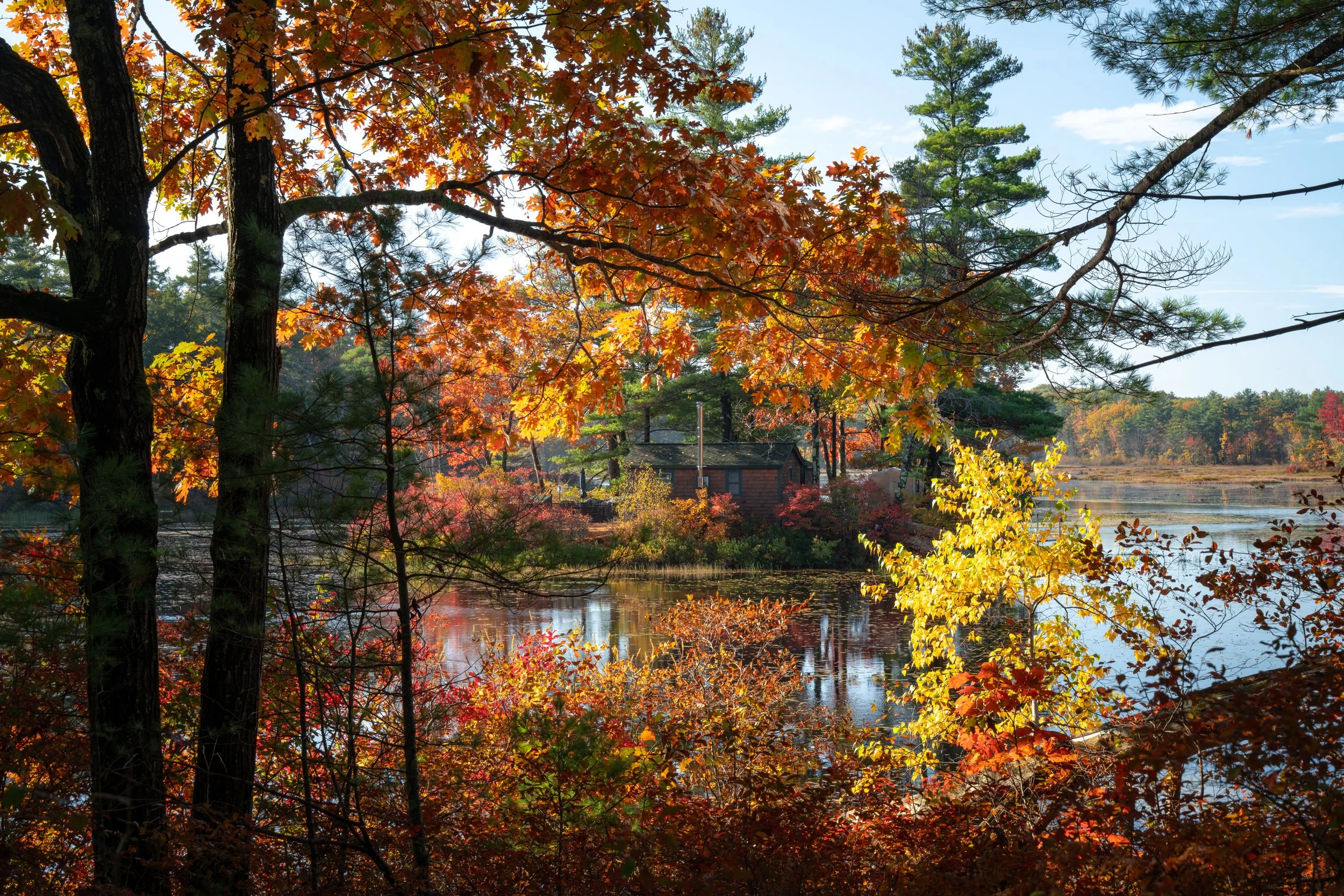 Rindge