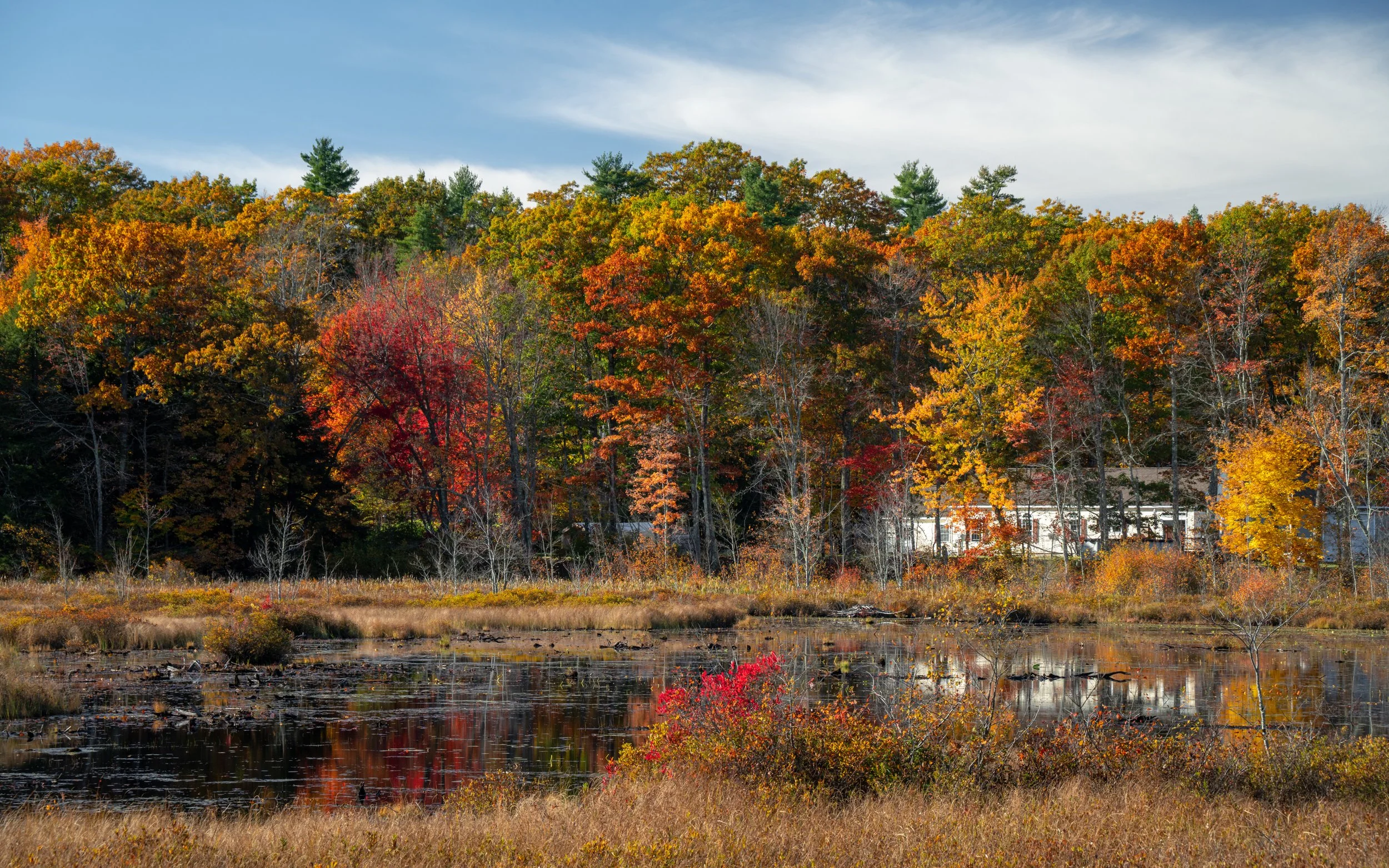 Jaffrey