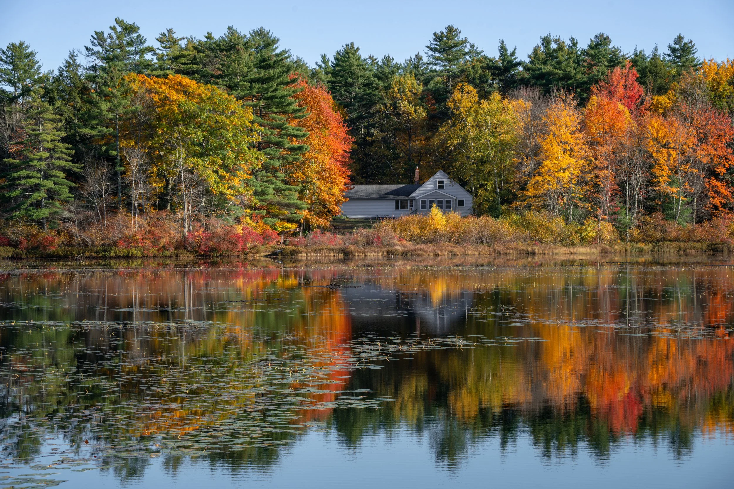 Jaffrey