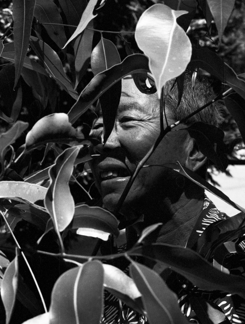 WILLIAM YANG "Photographer"